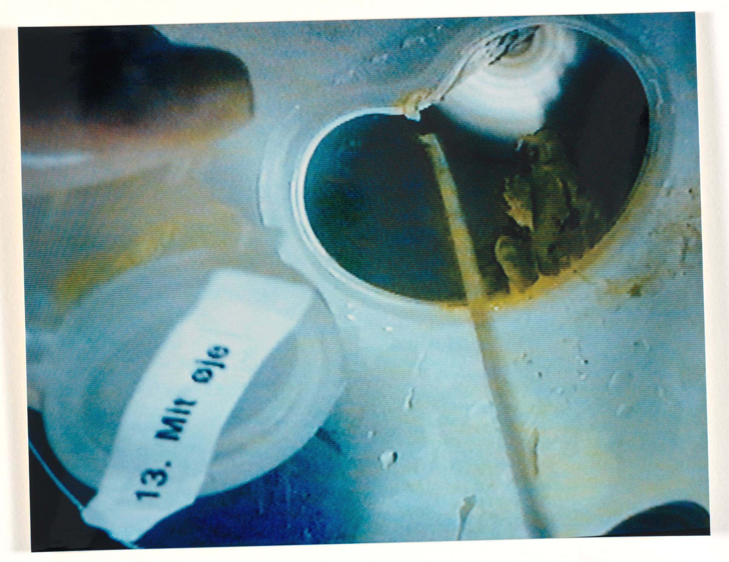 Labotik, Anja Franke, 1995