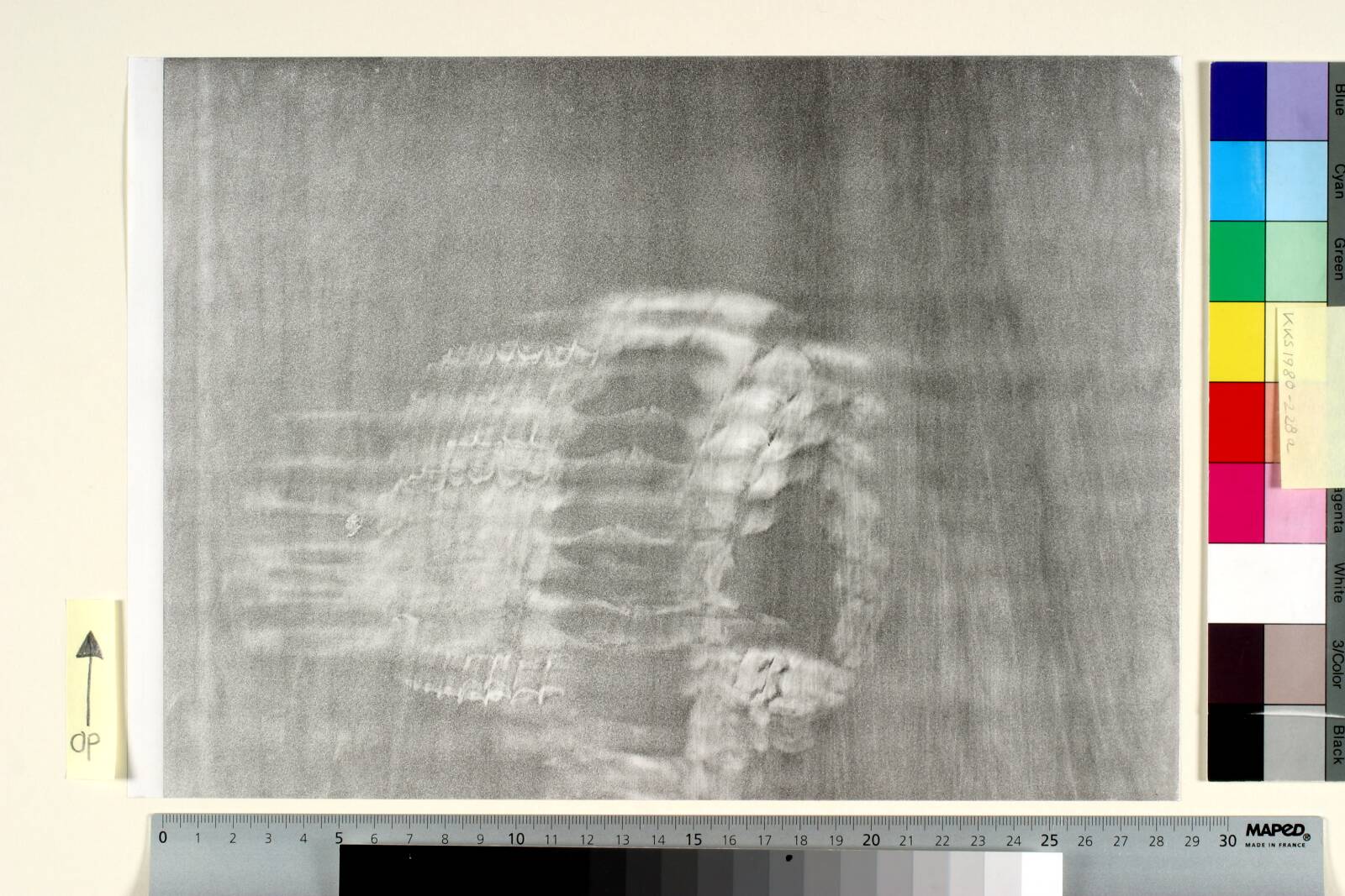 Fårekranium, Jørgen Rømer, 1980