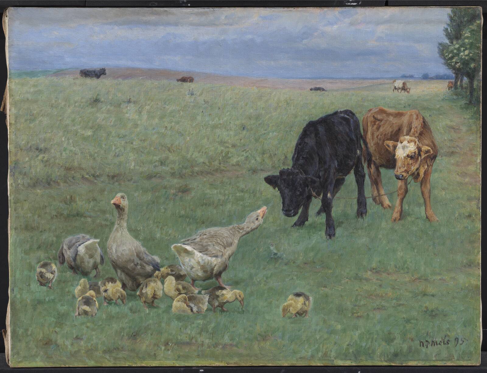 Gæslinger, N.P. Mols, 1895