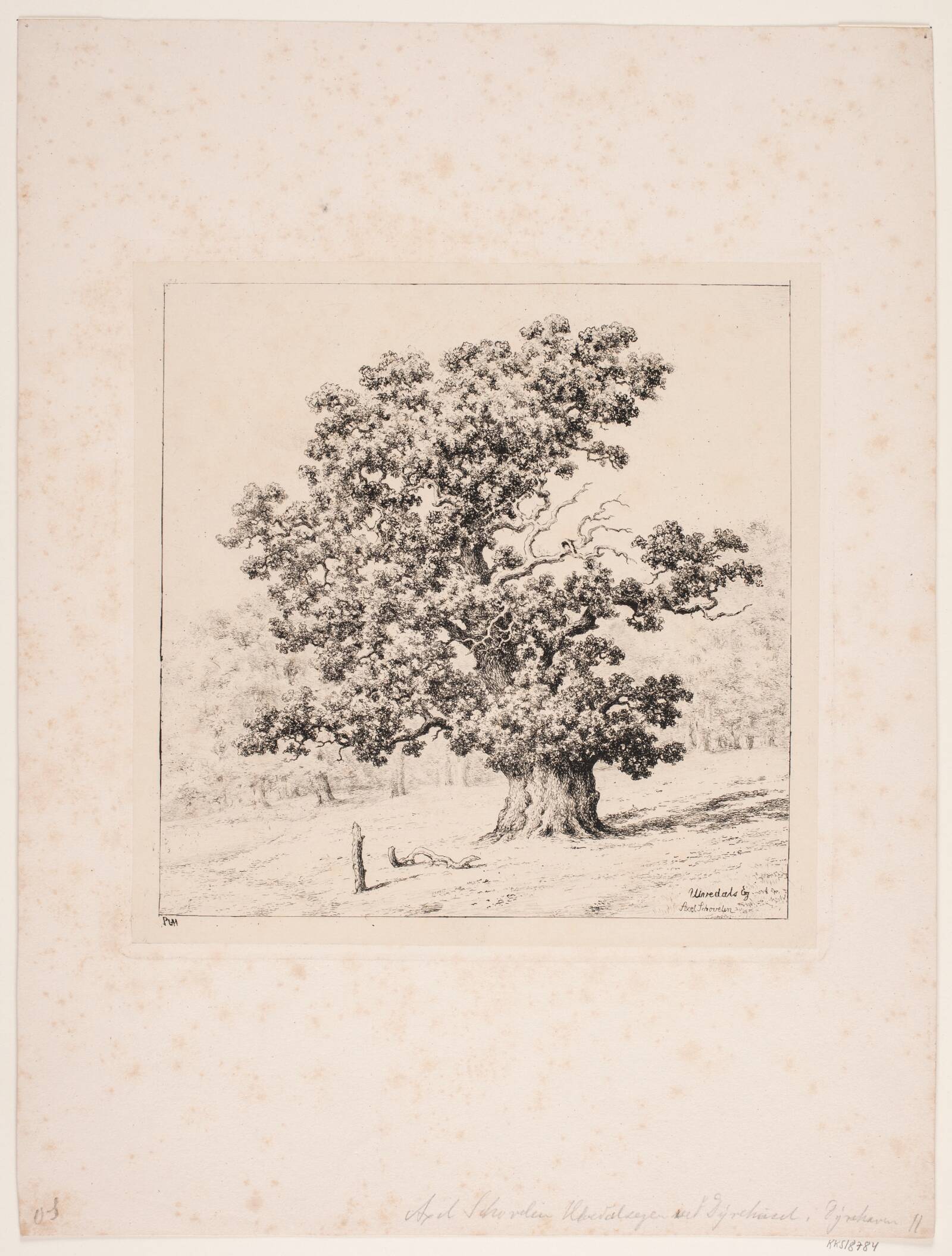 Ulvedals egen, Axel Schovelin, 1887