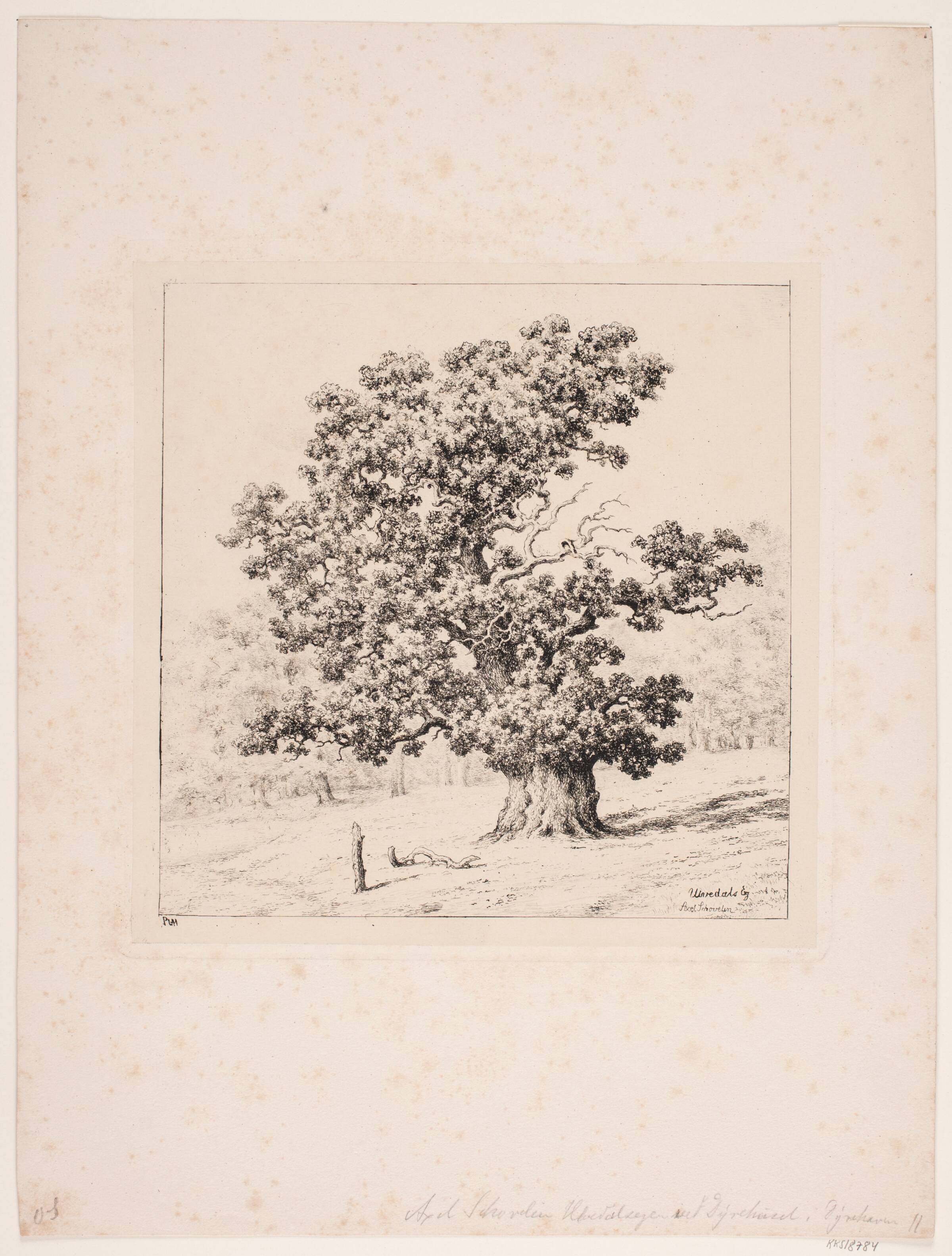 Ulvedals egen, Axel Schovelin, 1887