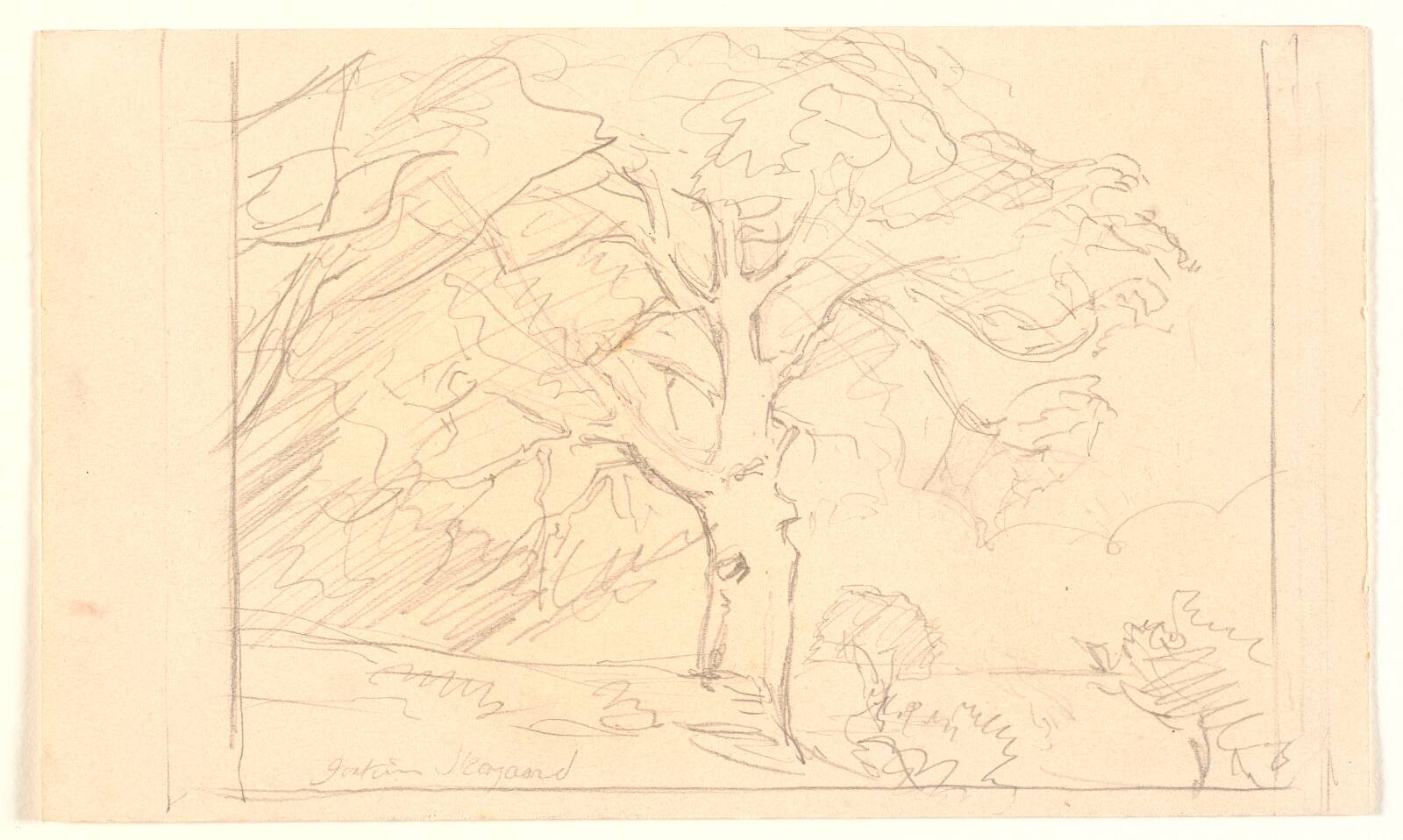 Studie af stort træ, Joakim Skovgaard, 1891-1894