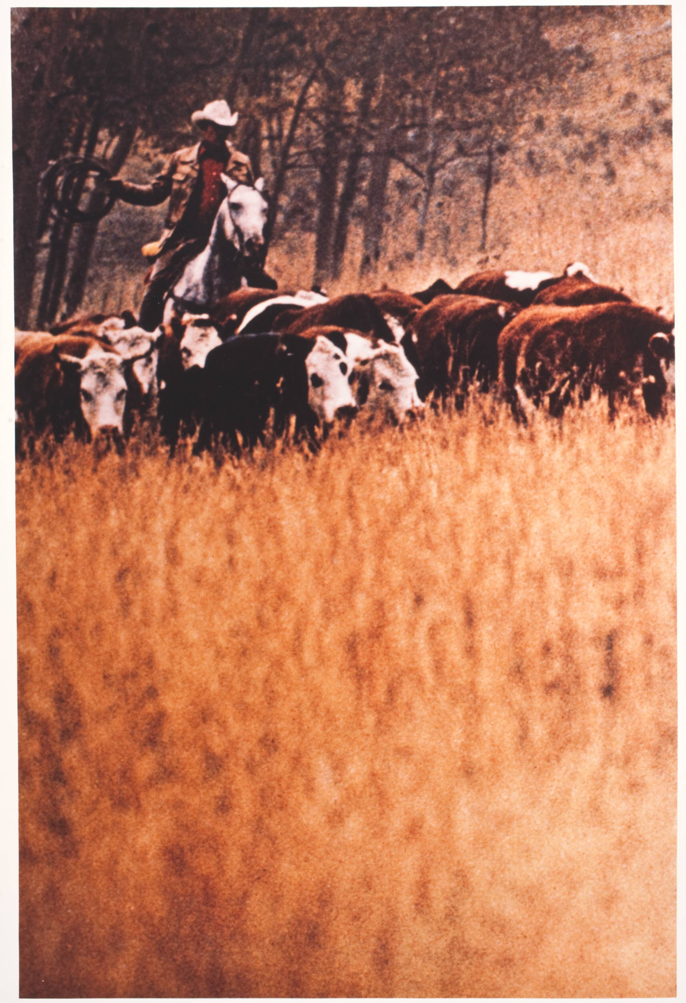 Cowboy, Richard Prince, 1992