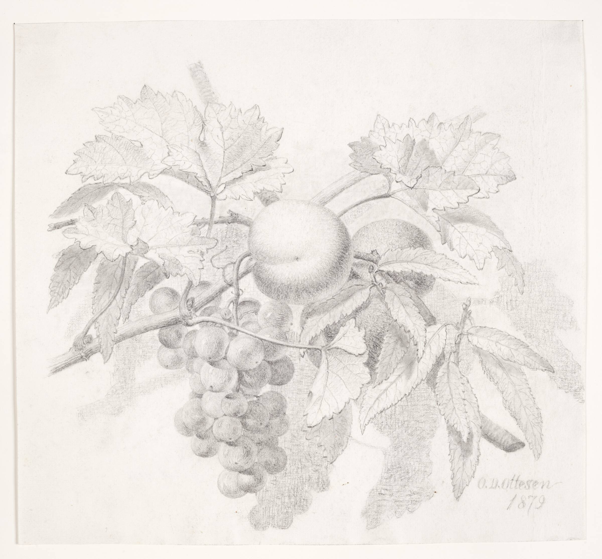 Vindruer og ferskner, O.D. Ottesen, 1879