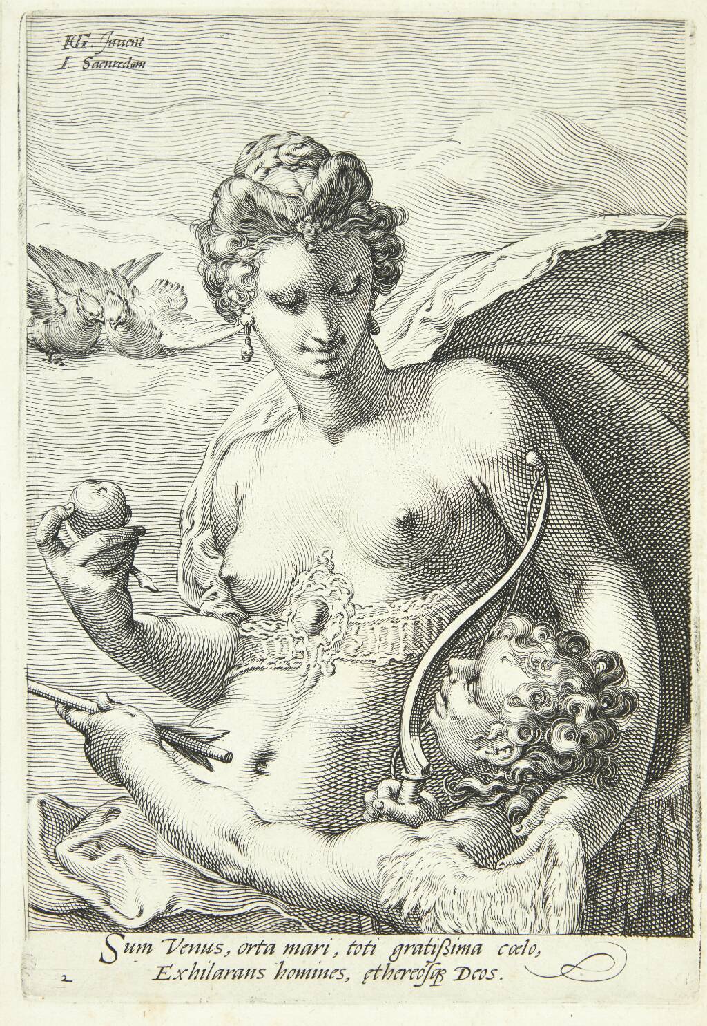 Venus og Amor