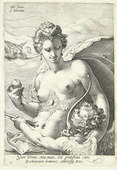 Venus og Amor