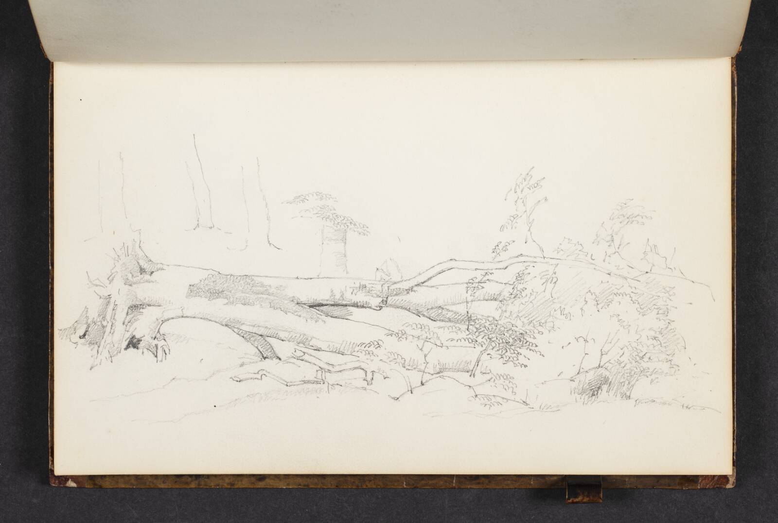 Et væltet træ, Christen Købke, 1822-1848