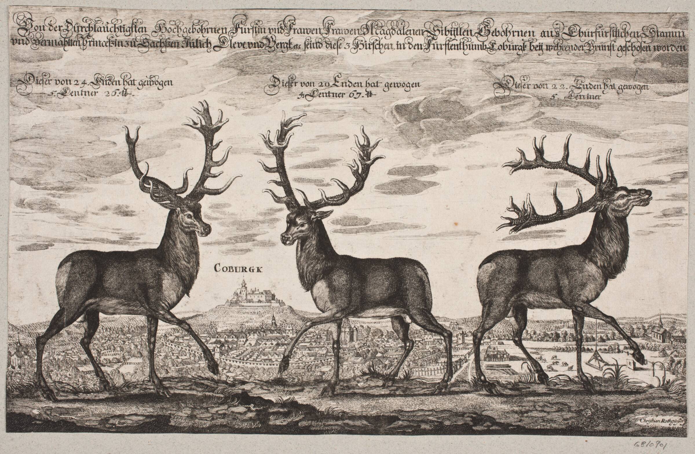 Tre kronhjorte, skudt i Koburg, Christian Rothgiesser, 1645-1659