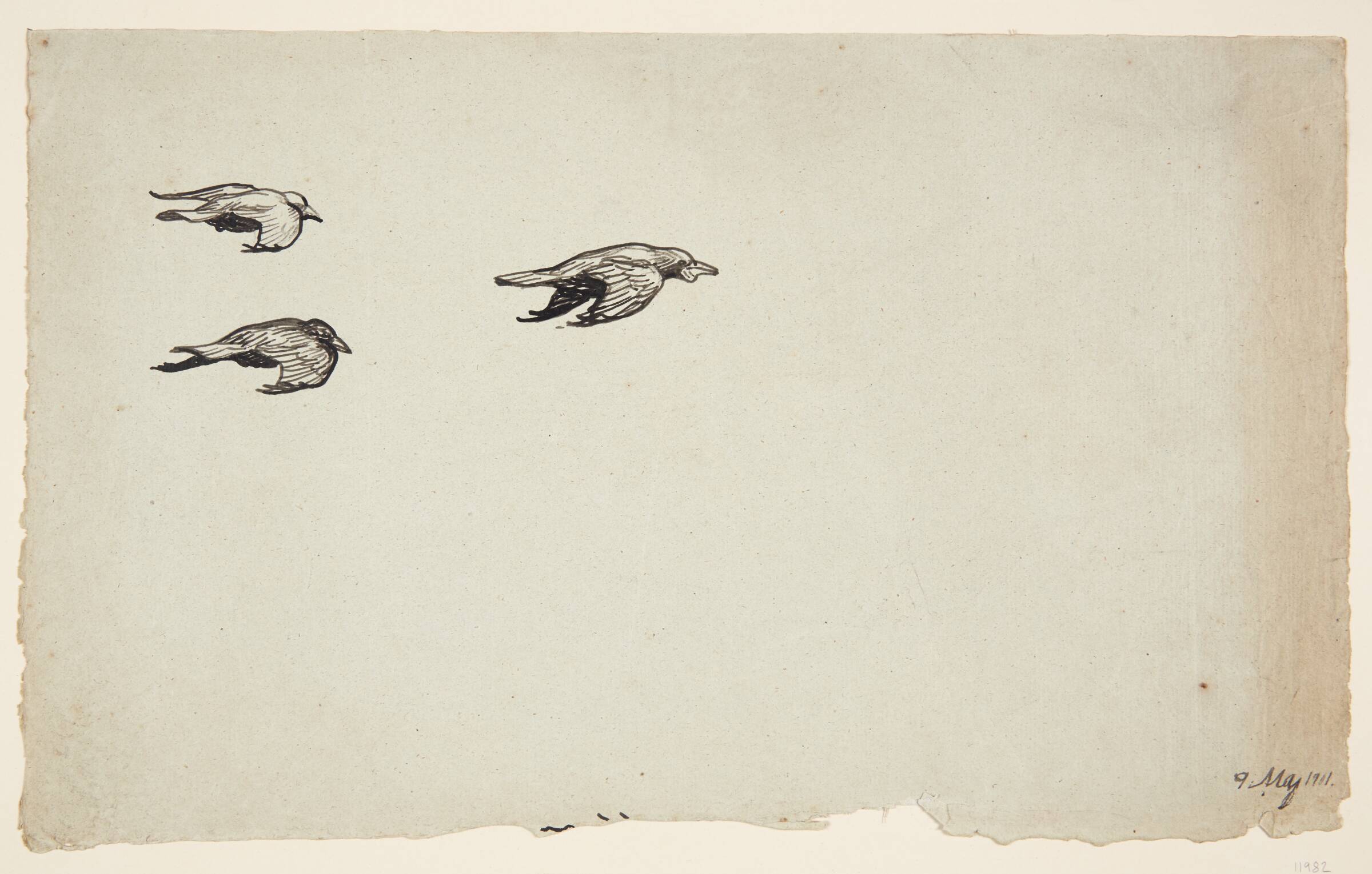 Tre flyvende krager, Johannes Larsen, 1901