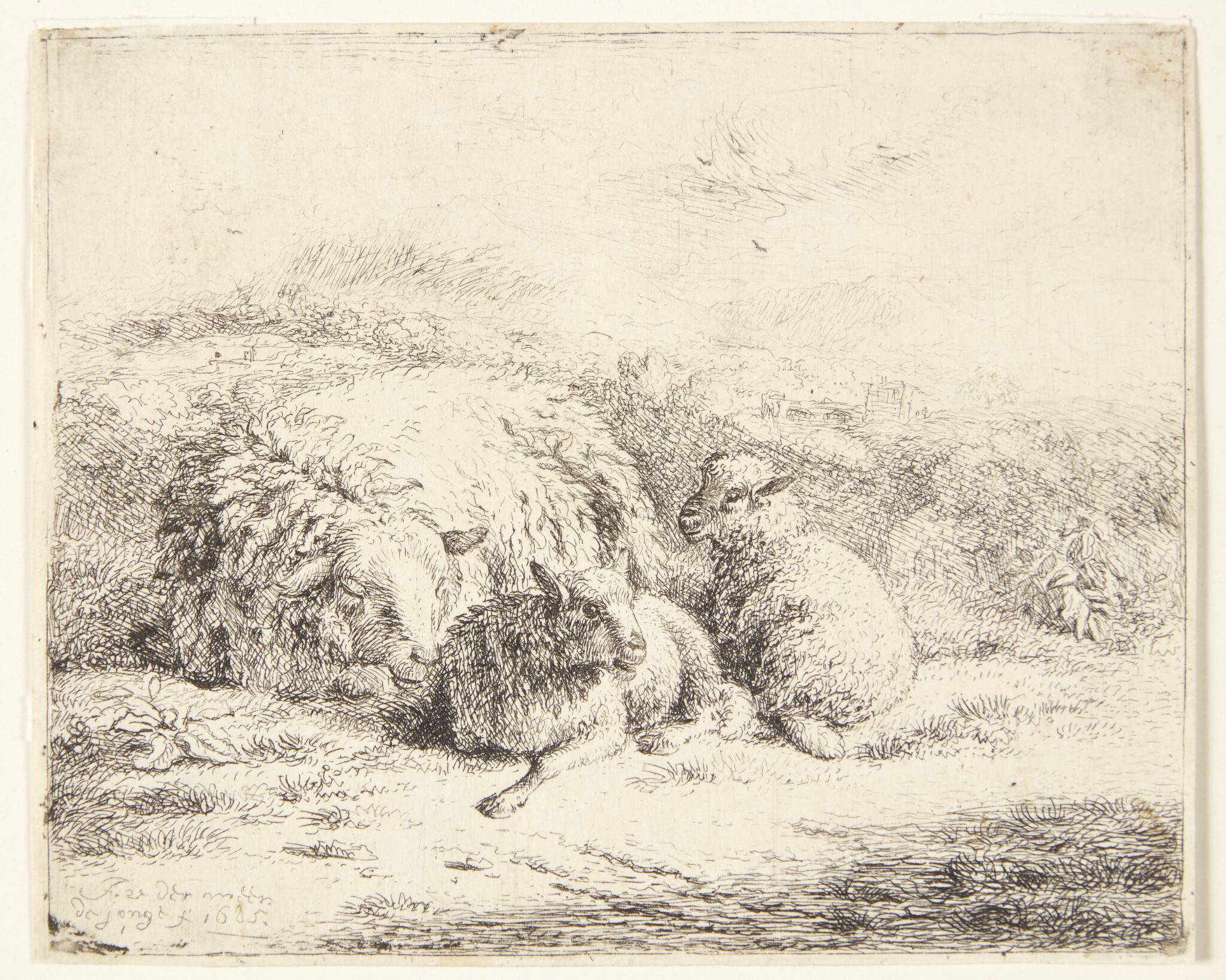 Jan van der Meer (II)
