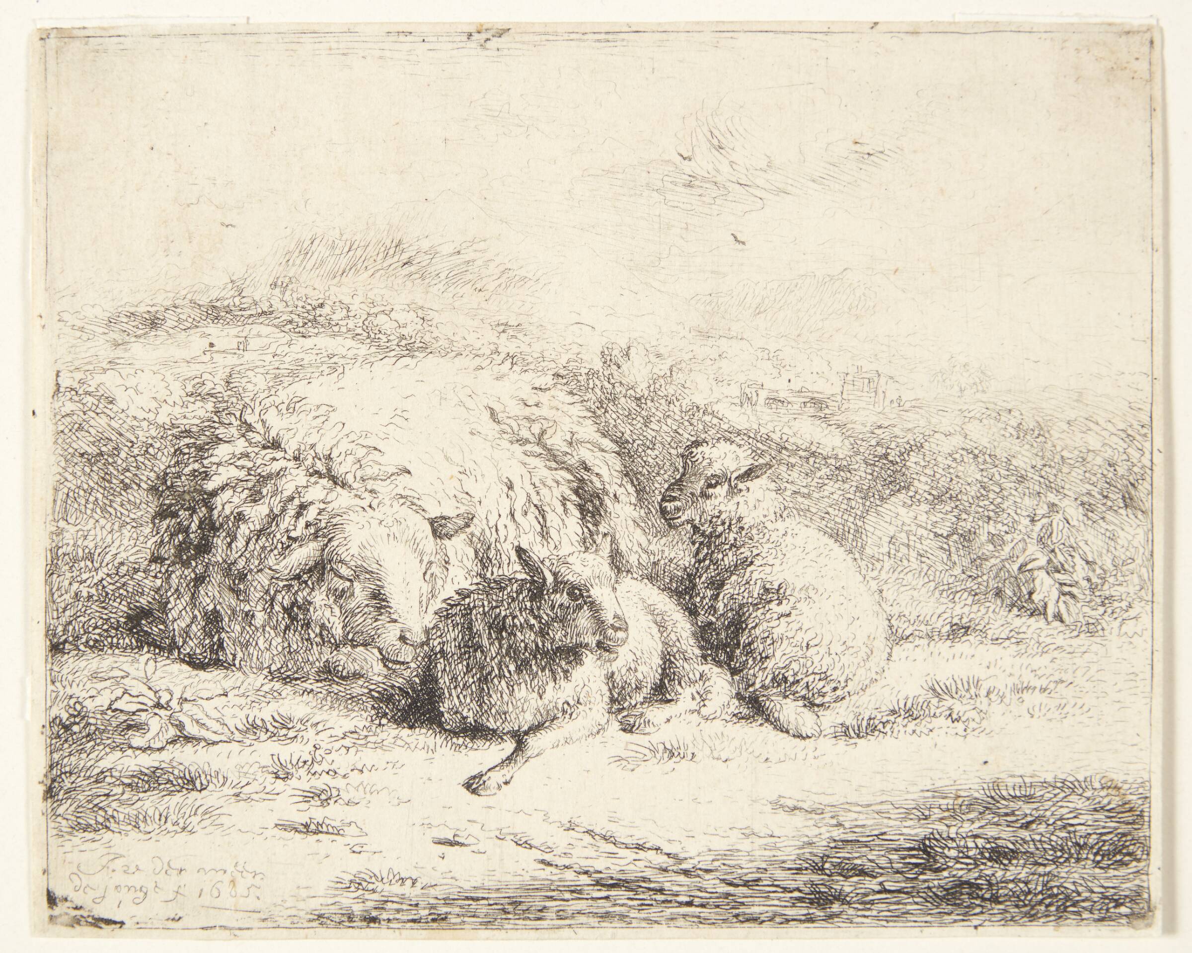 Liggende får med to lam, Jan van der Meer, 1685