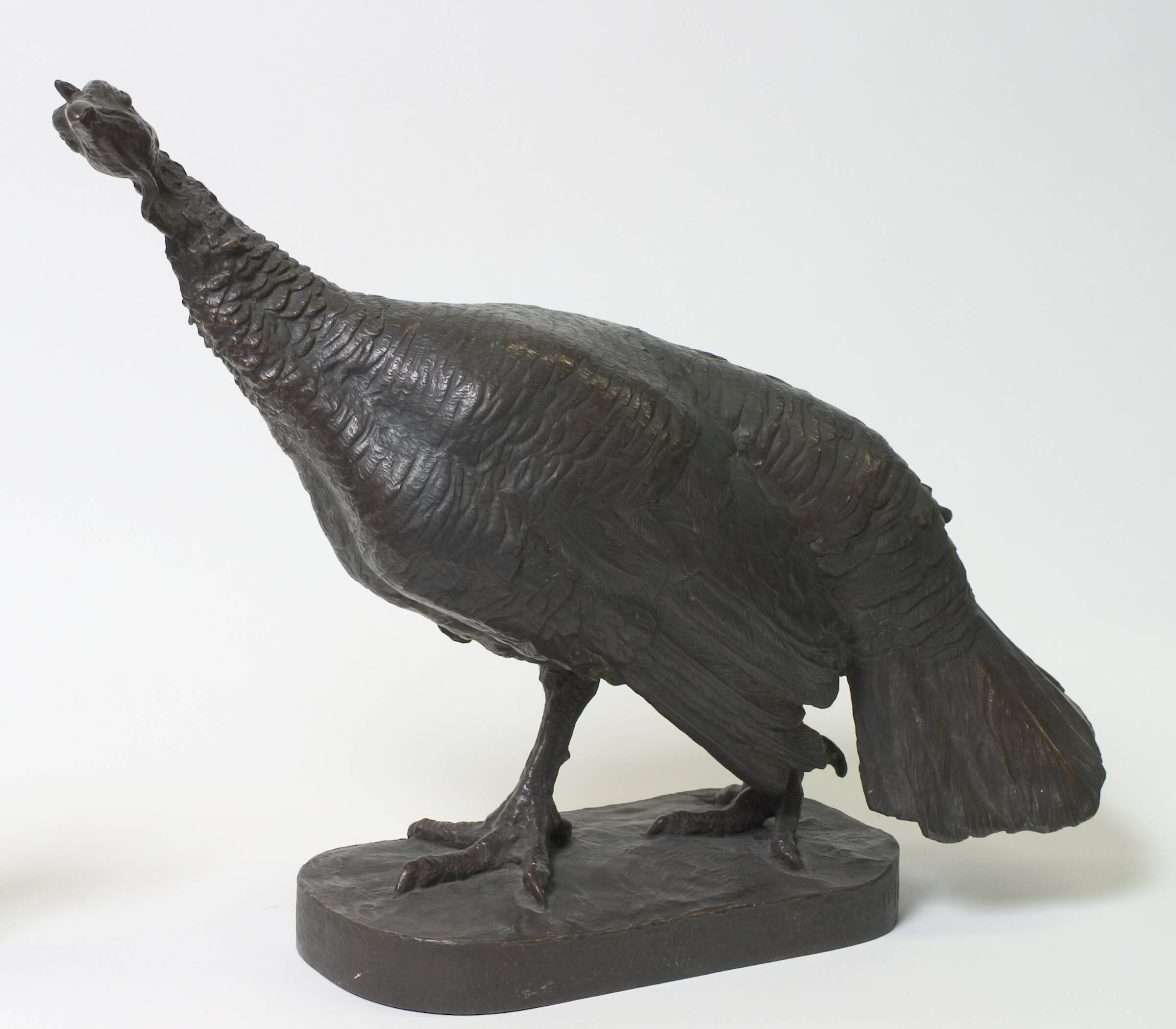 Kalkun, Anne Marie Carl Nielsen, 1910-1911
