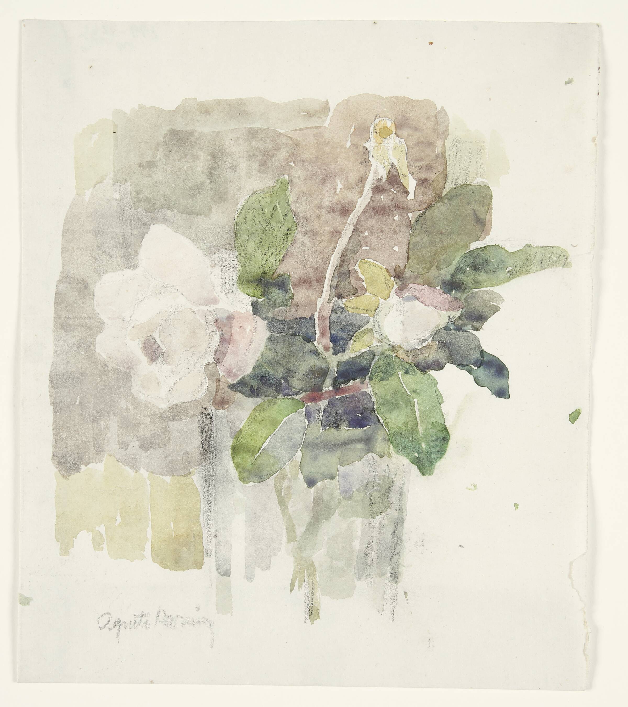 Blomsterstudie, Agnete Varming, 1970-1979