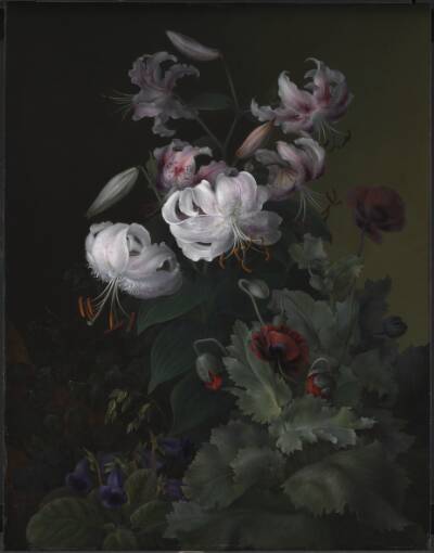 Blomstrende planter