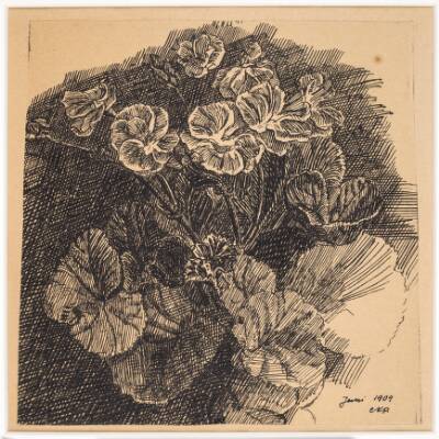 Blomster