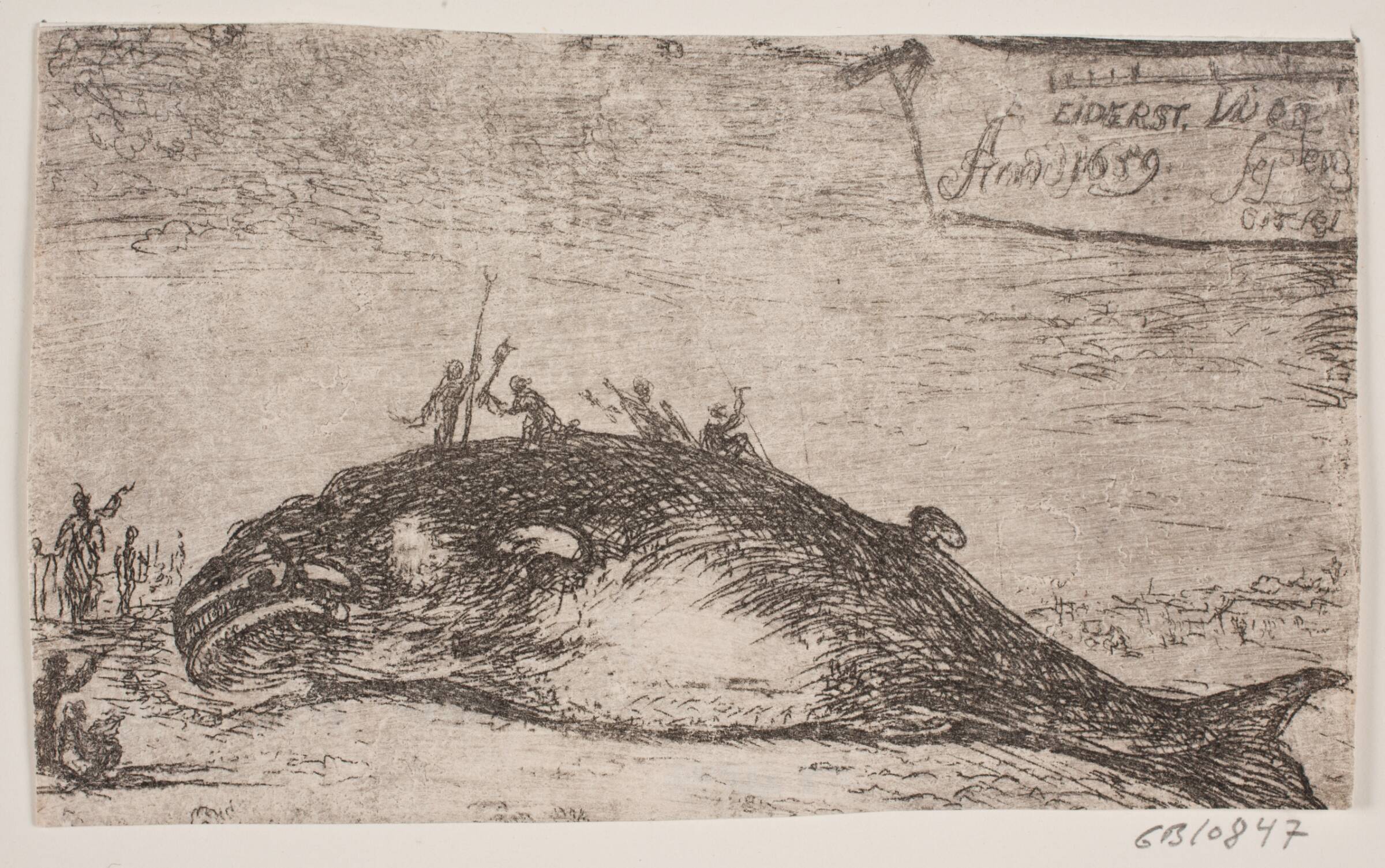 En hval strandet ved Eiderstedt, Jürgen Ovens, 1659-1660