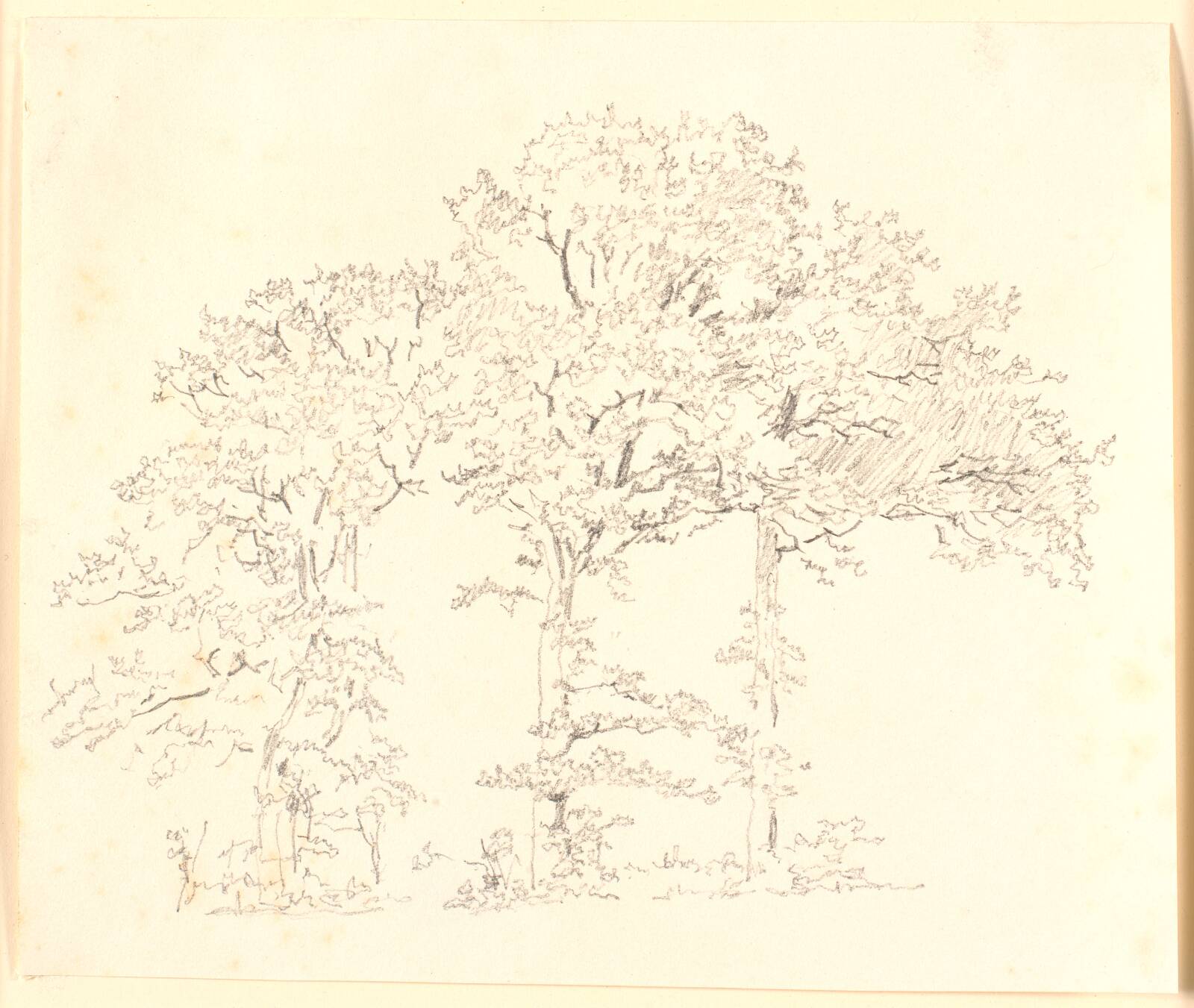 Trægruppe, Christen Købke, 1810-1848