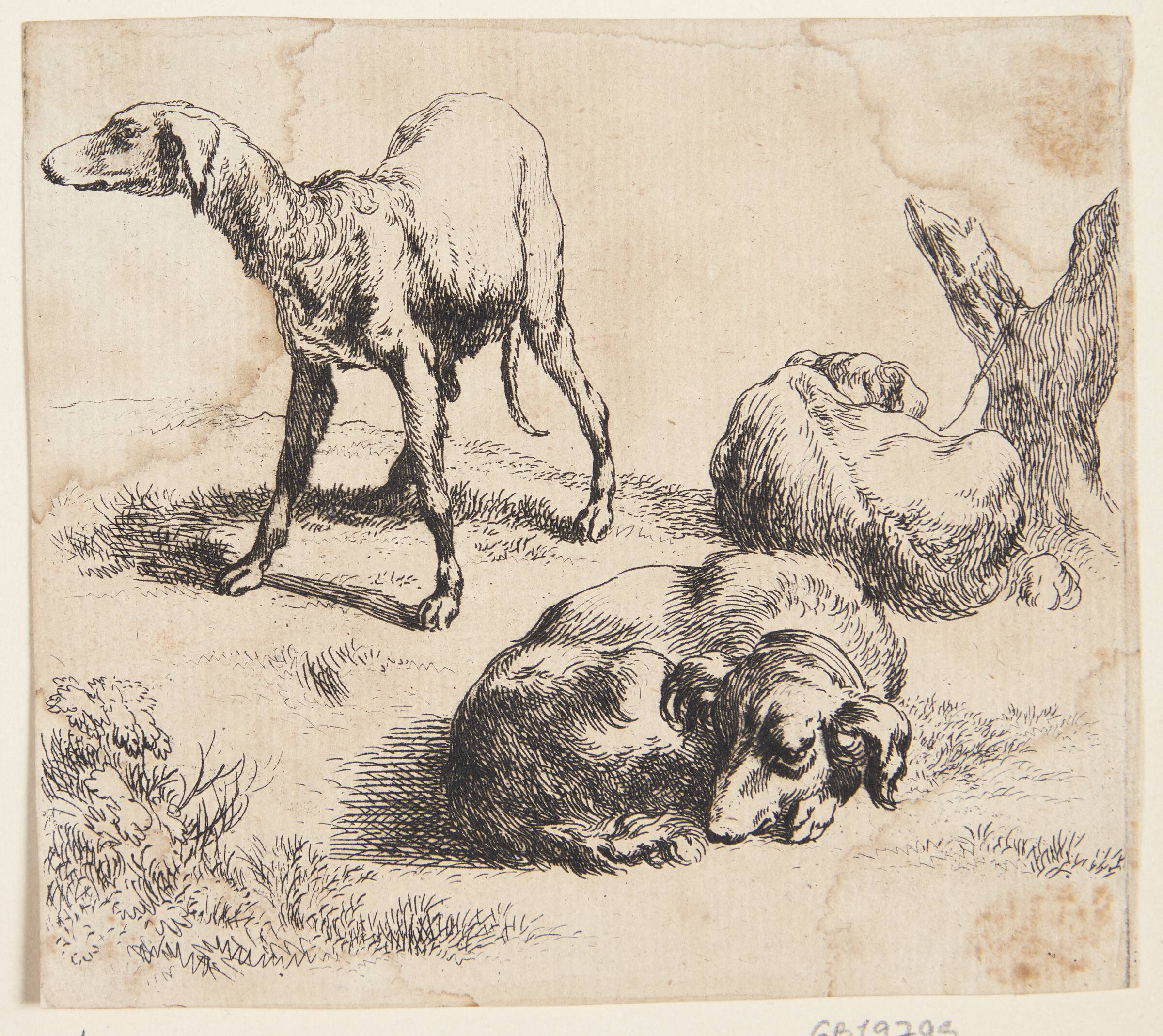Tre jagthunde, Nicolaes Berchem, 1620-1683