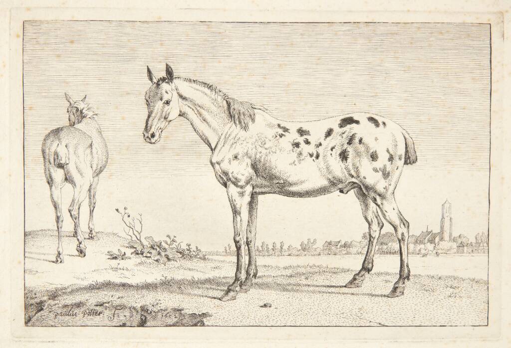 Kupperet hest, Paulus Potter, 1652