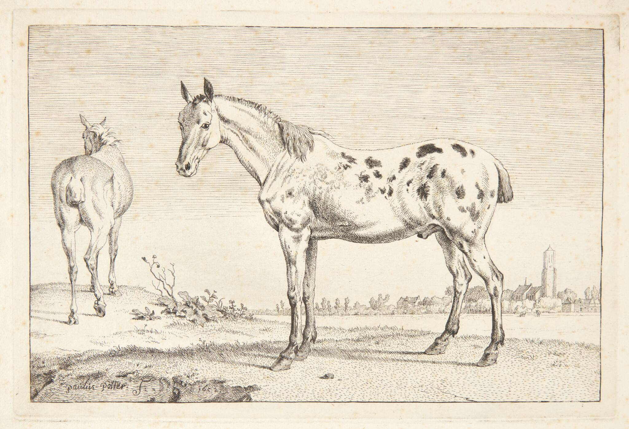 Kupperet hest