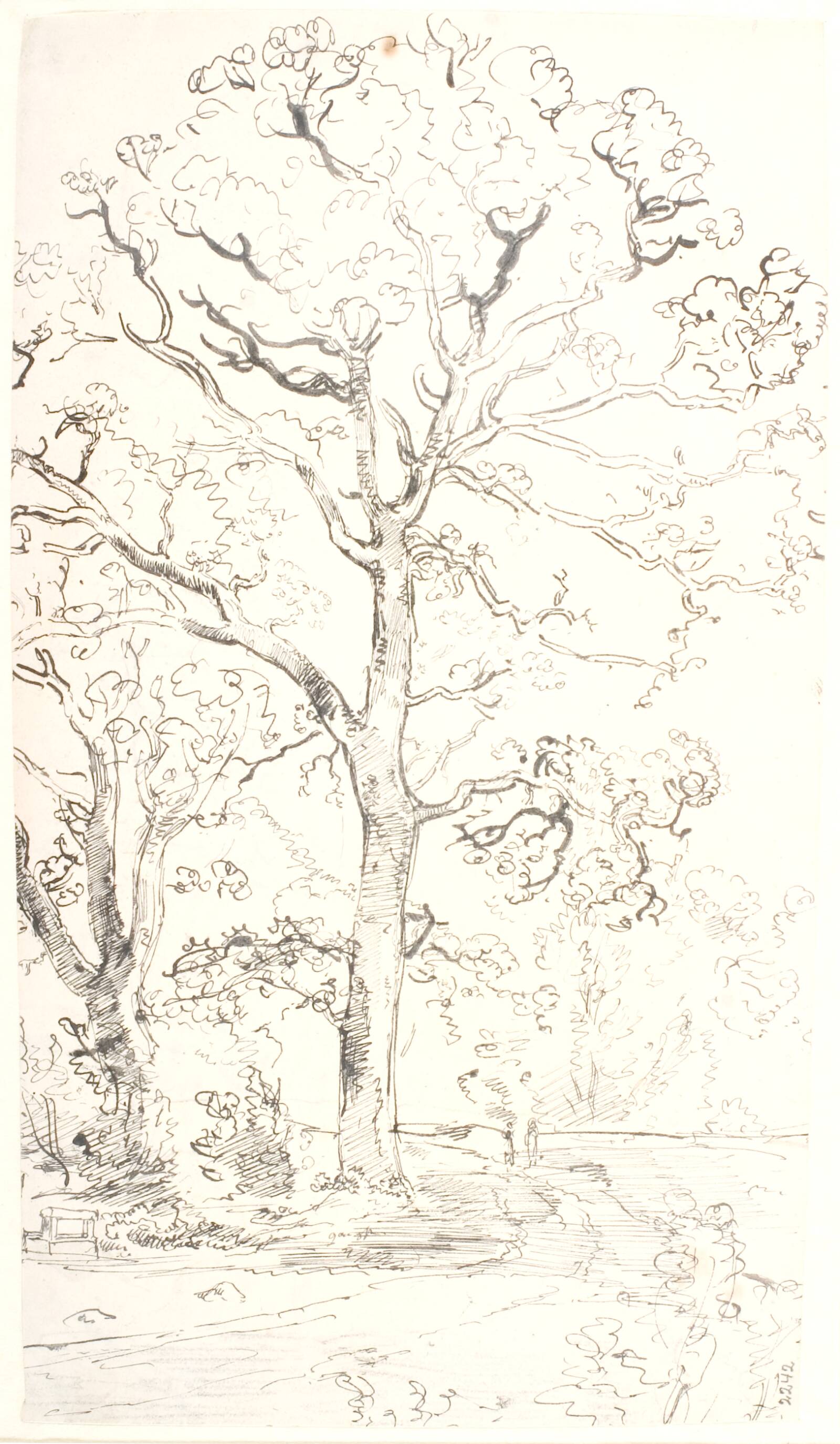 Studie af egetræer, Dankvart Dreyer, 1843