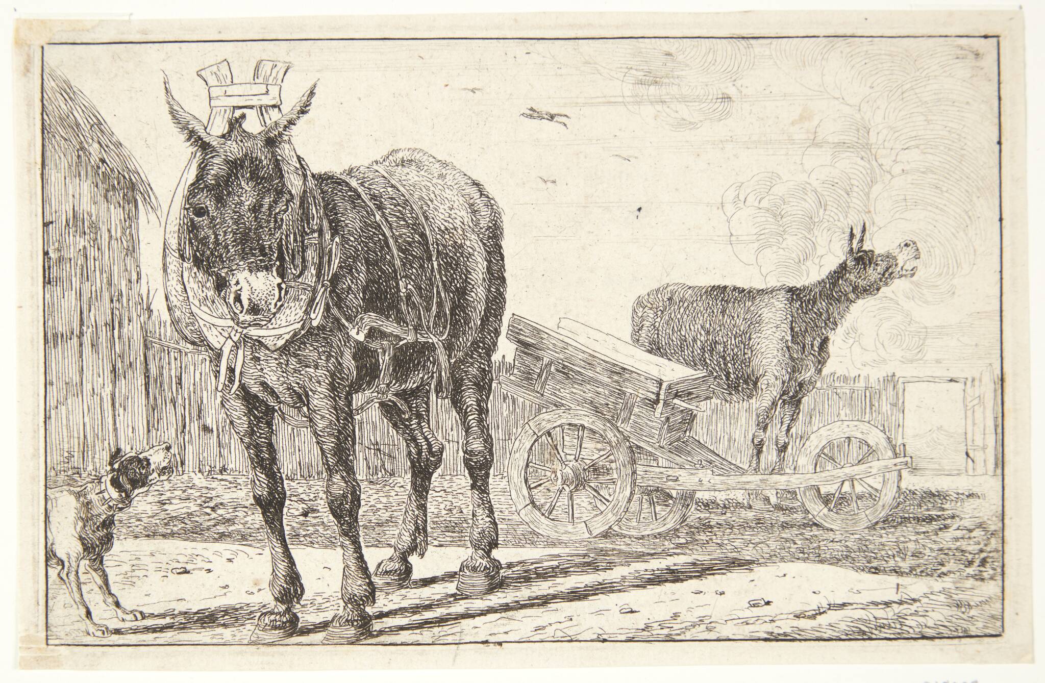 To æsler