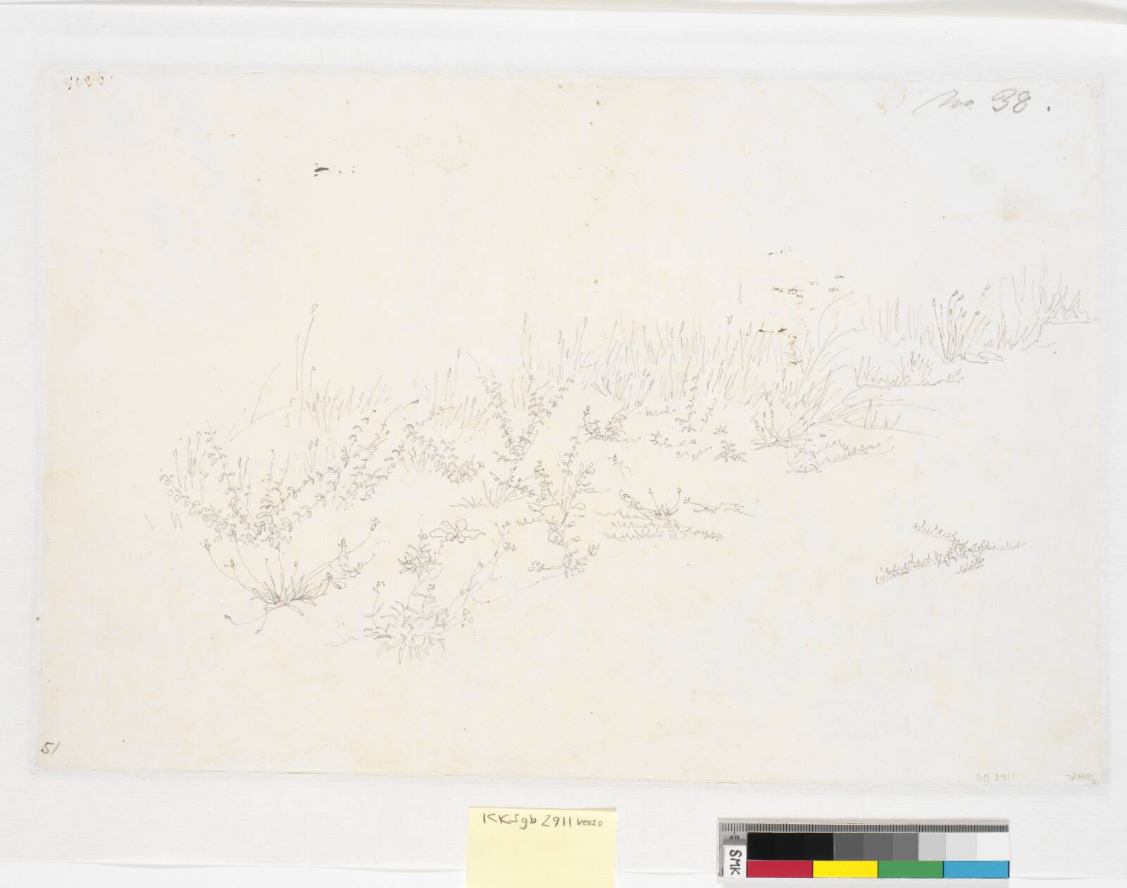 Plantestudier, Christen Købke, 1841