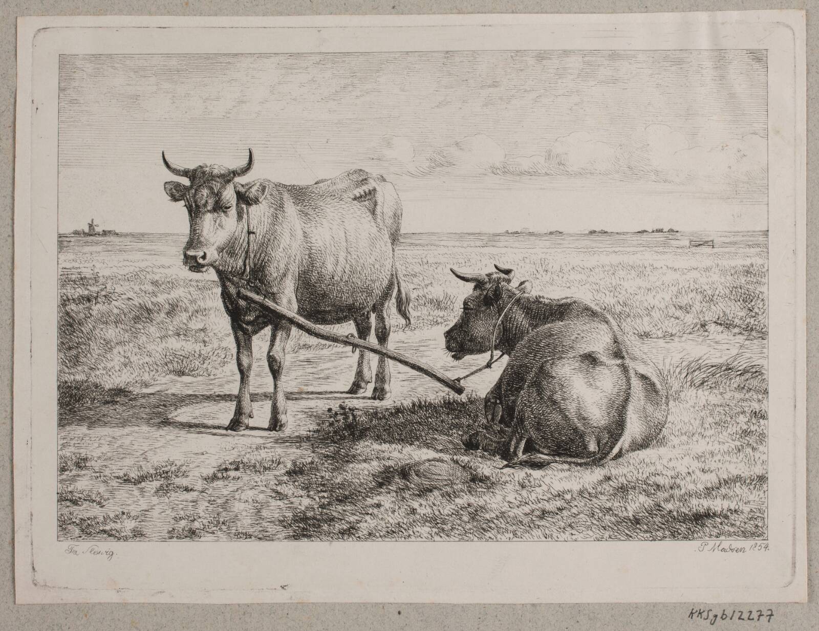 To sammenkoblede køer, Madsen, A.P., 1854
