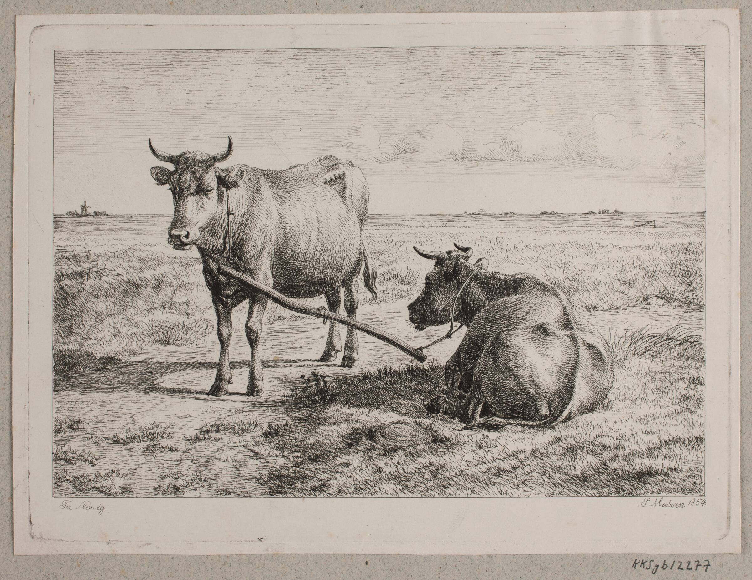 To sammenkoblede køer, Madsen, A.P., 1854