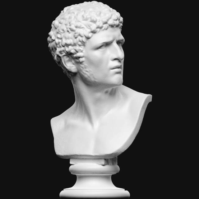 Bearded man with head turned to the left 3D model