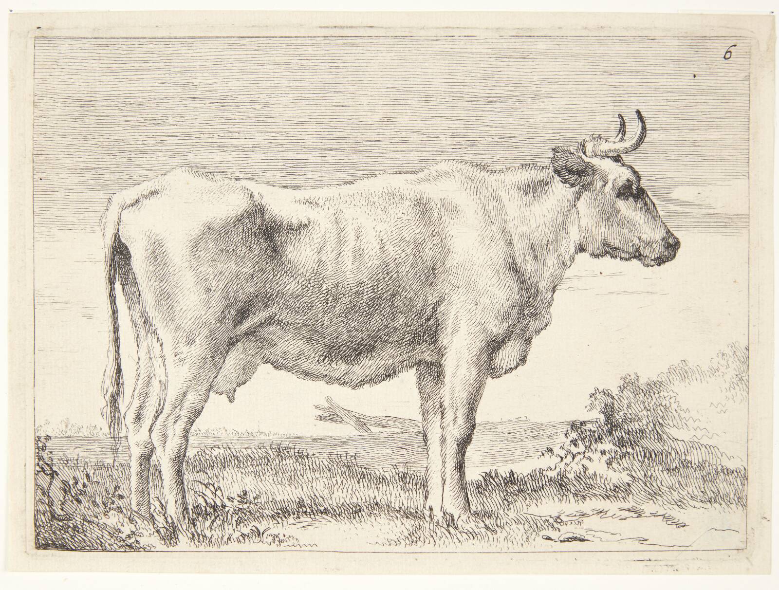 Stående ko, Ubekendt, 1640-1677