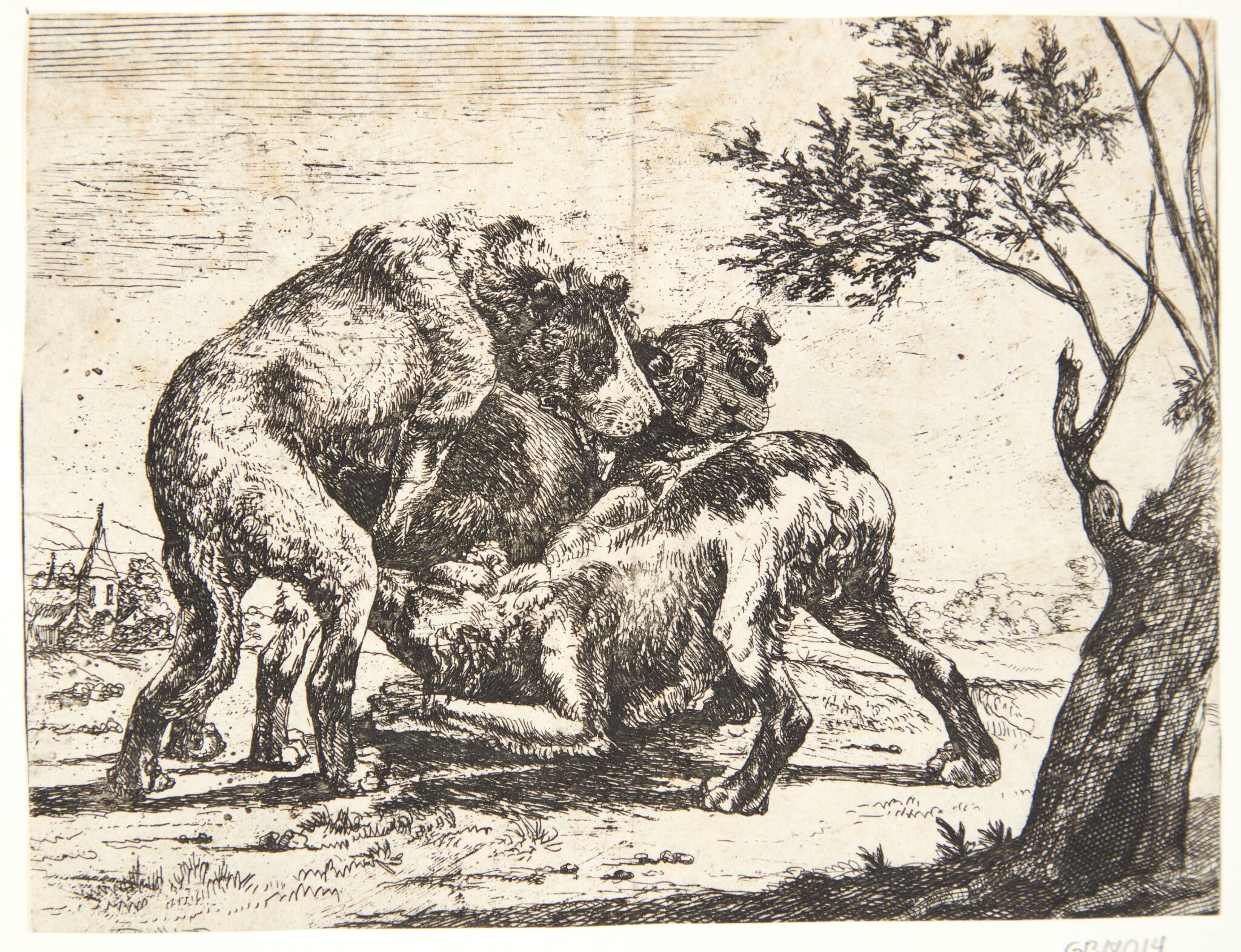 Tre hunde