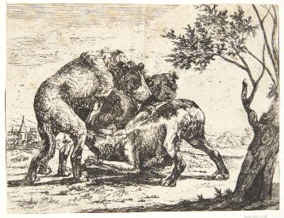 Tre hunde