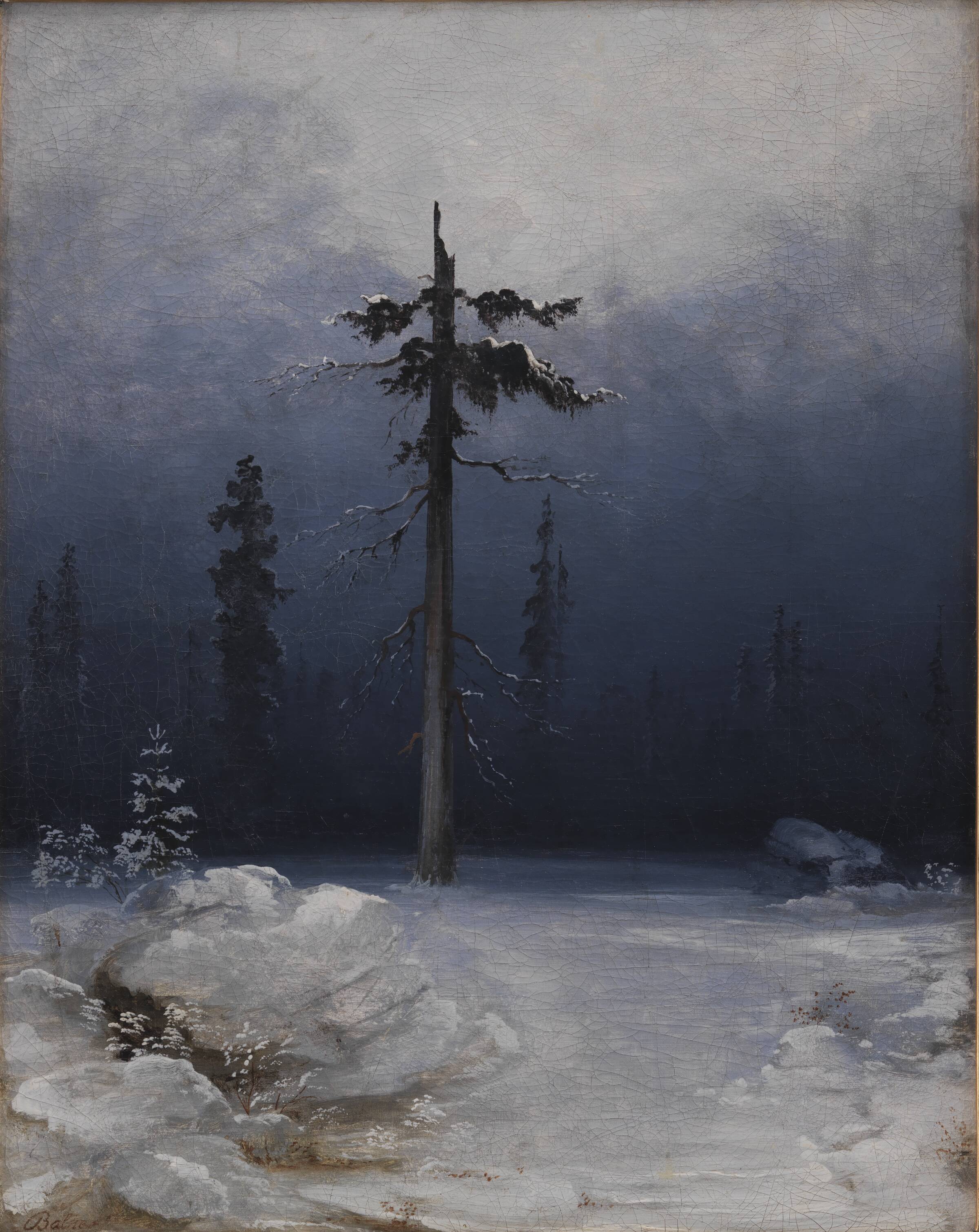 Træ i vinterskov, Peder Balke, 1850-1859