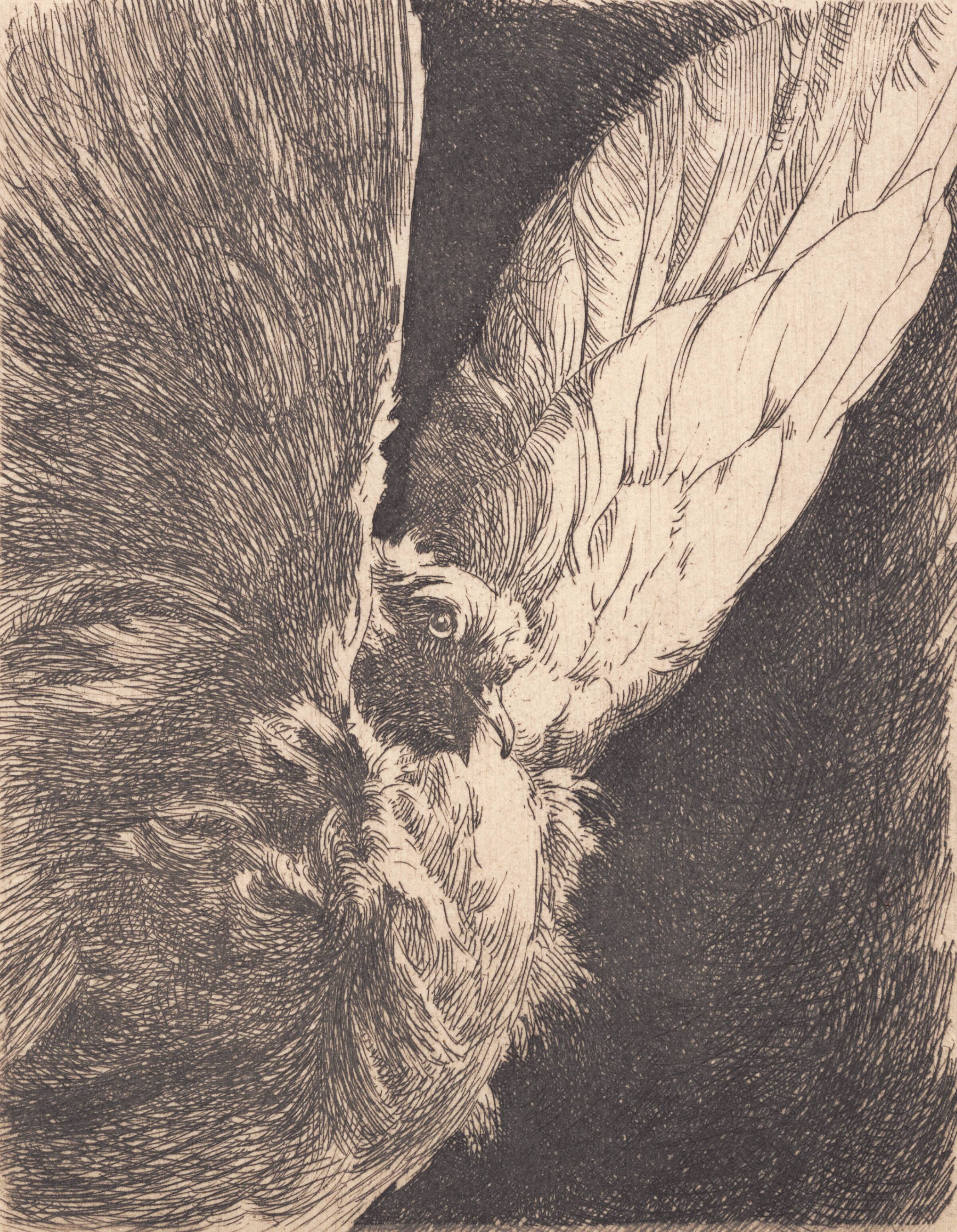 En due, Frans Schwartz, 1896