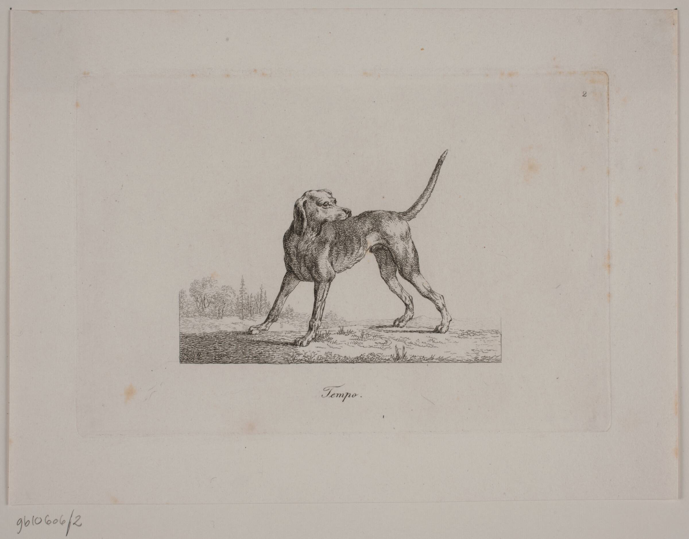 Tempo, Christian David Gebauer, 1821