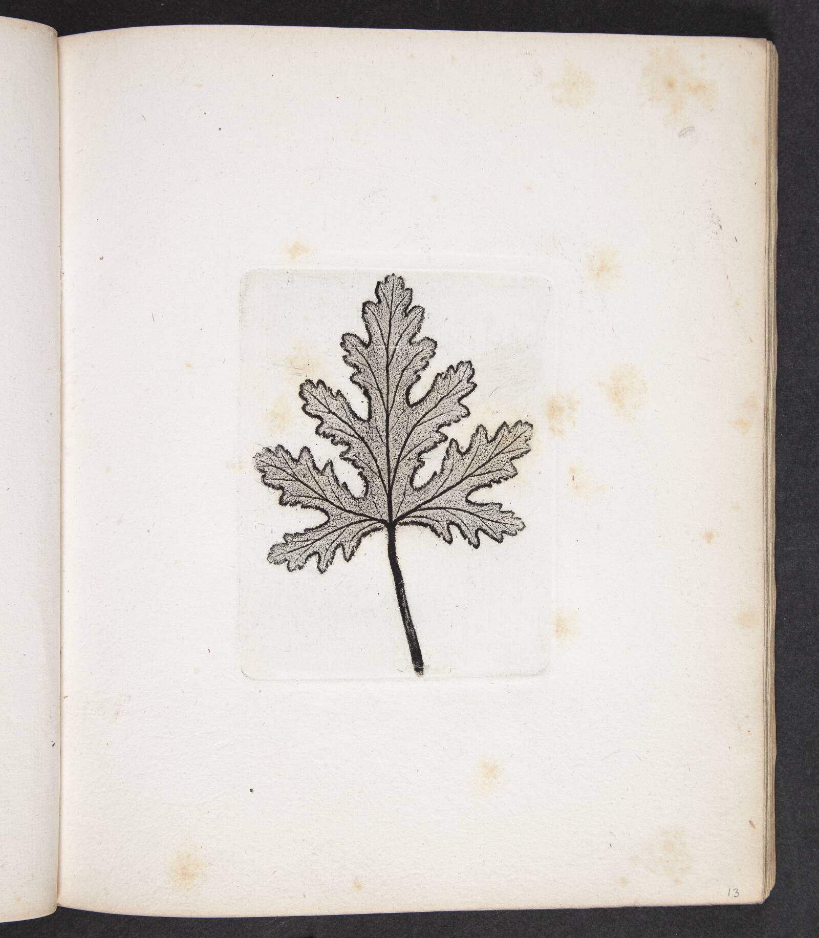 Aftryk af blad, Peter Larsen Kyhl, 1833