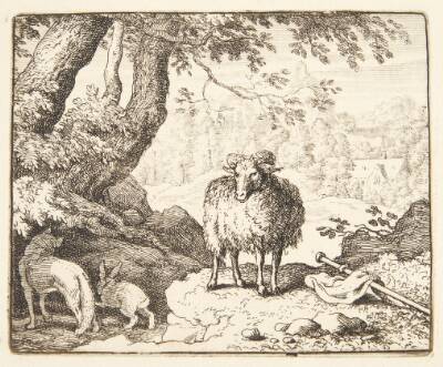 Renard vender hjem