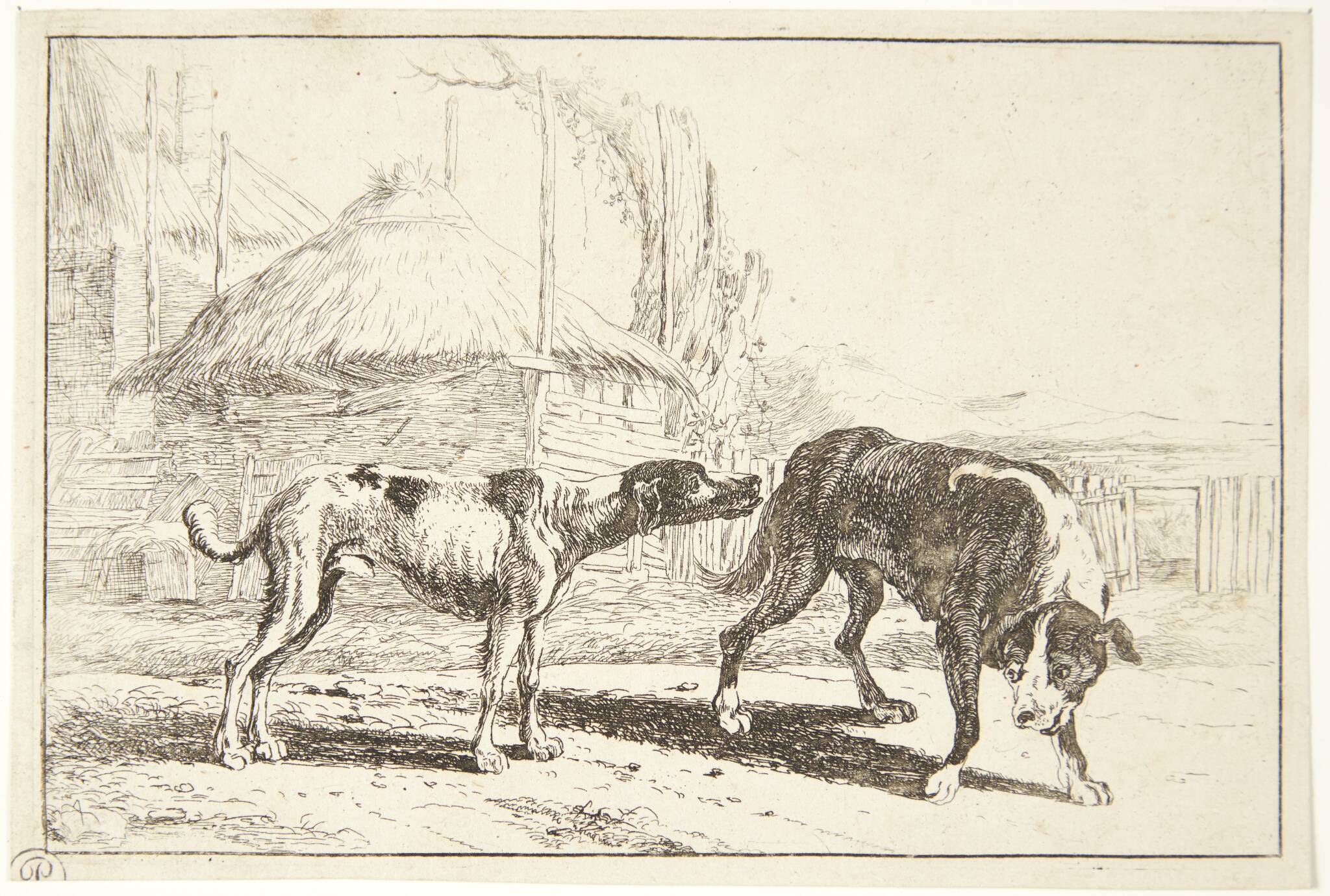 To hunde