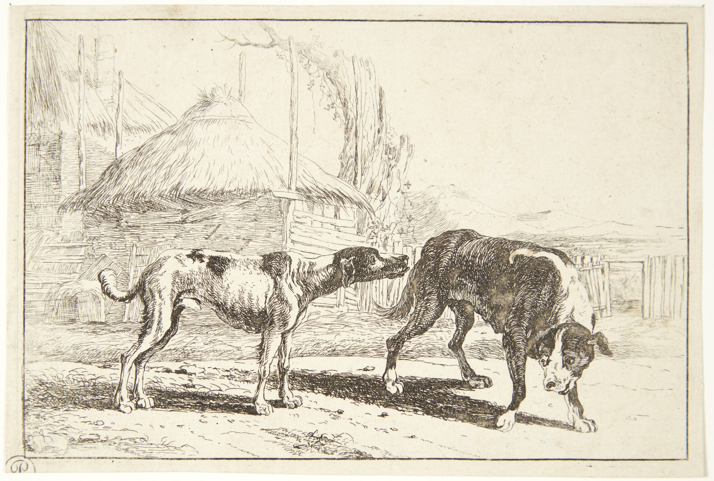 To hunde, Jan van den Hecke I, 1619-1684