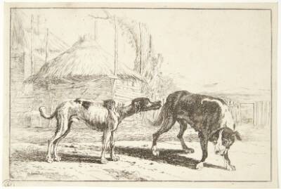 To hunde