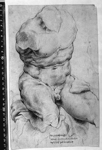 Torso Belvedere