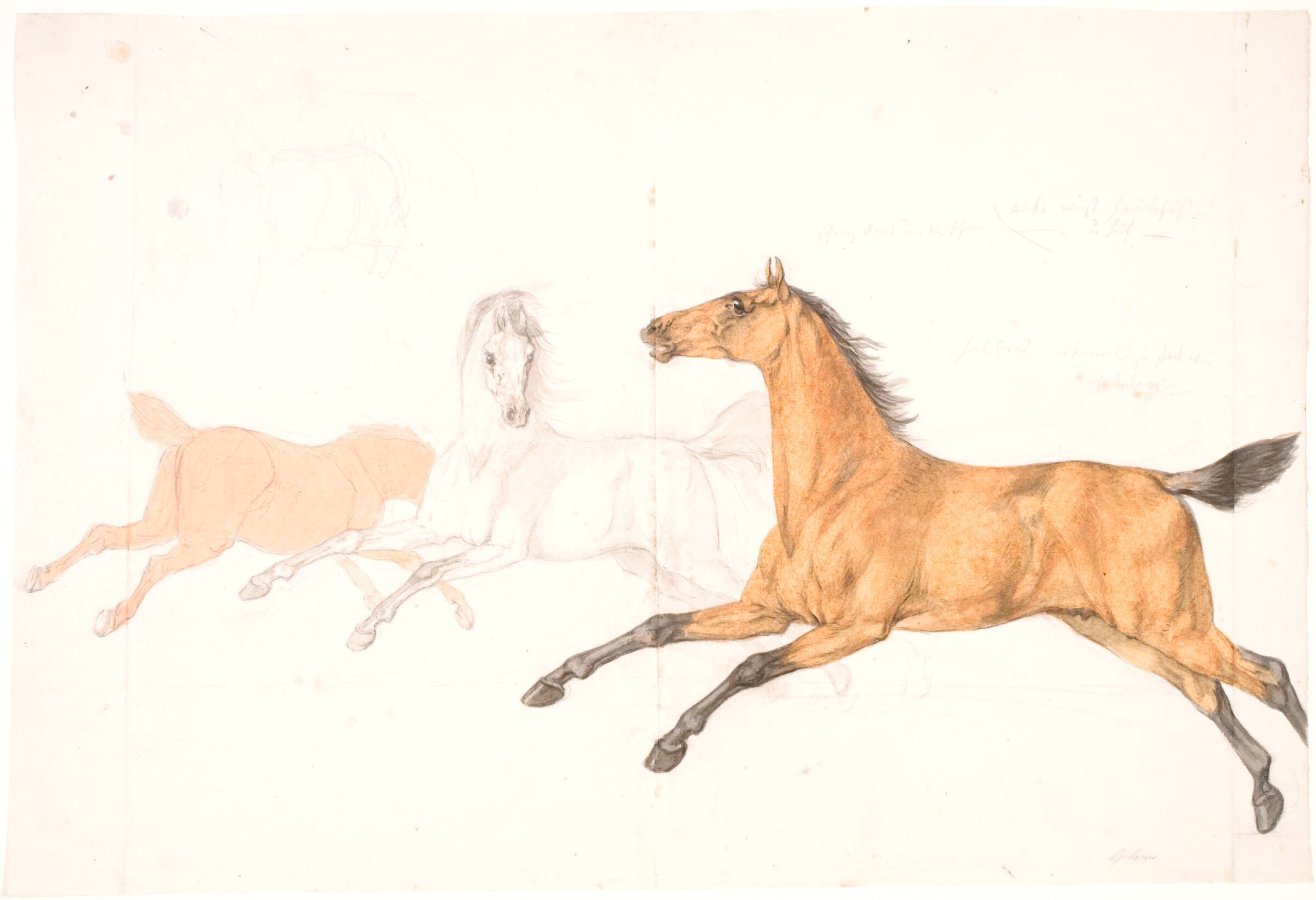 3 løbende heste, Christian David Gebauer, 1820-1829