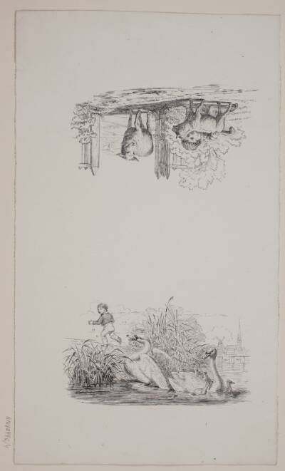 To illustrationer til W. Hey, "Halvthundrede Fabler for Børn"