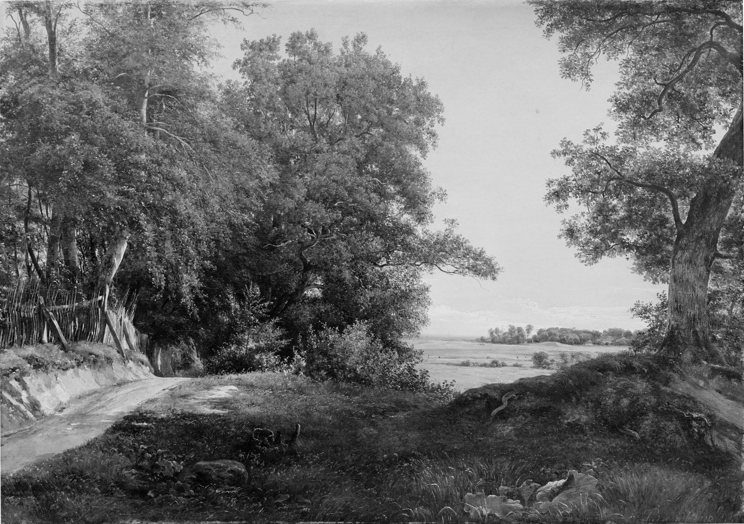 En sommermorgen ved Dyrehavehegnet i Ordrup Krat, Thorald Brendstrup, 1855