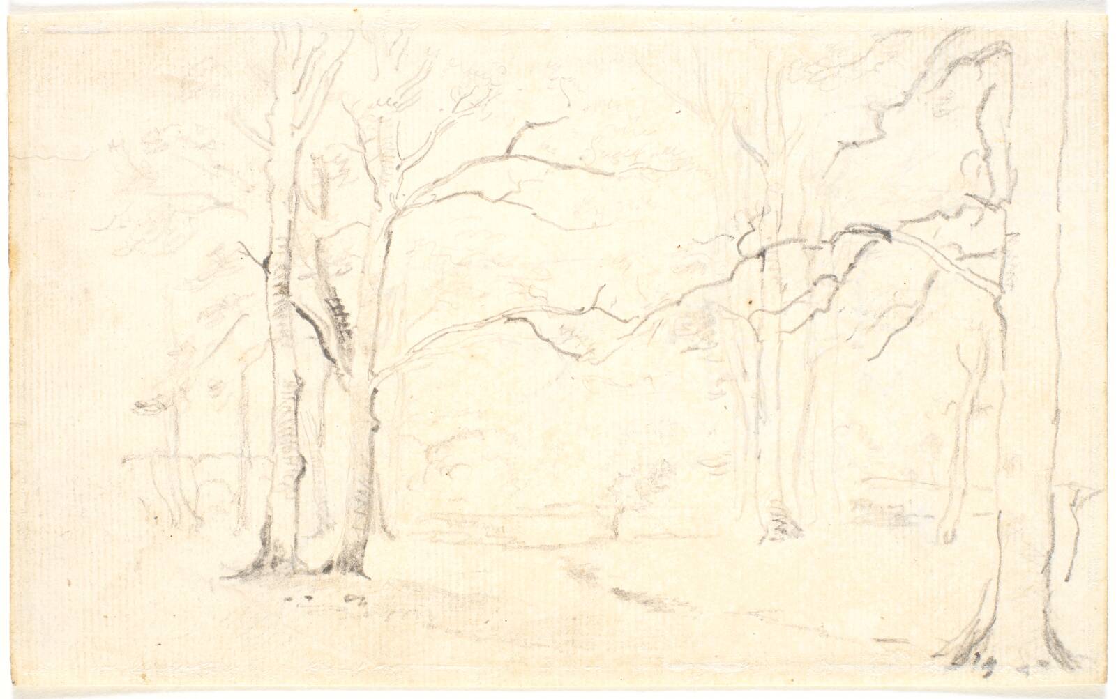 Skovinteriør, Dankvart Dreyer, 1840-1849
