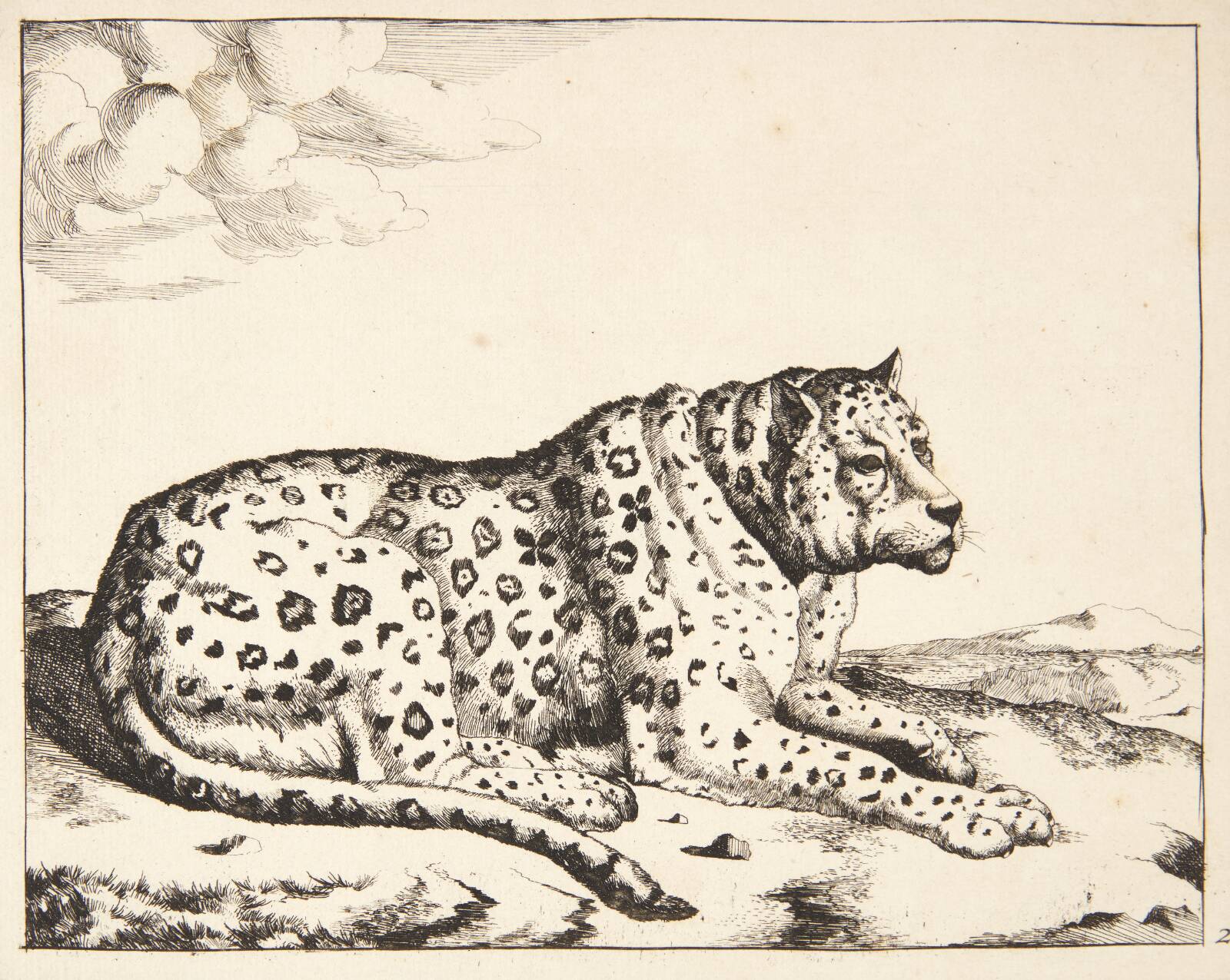 Liggende leopard, vendt mod højre, Marcus de Bye, 1638-1690