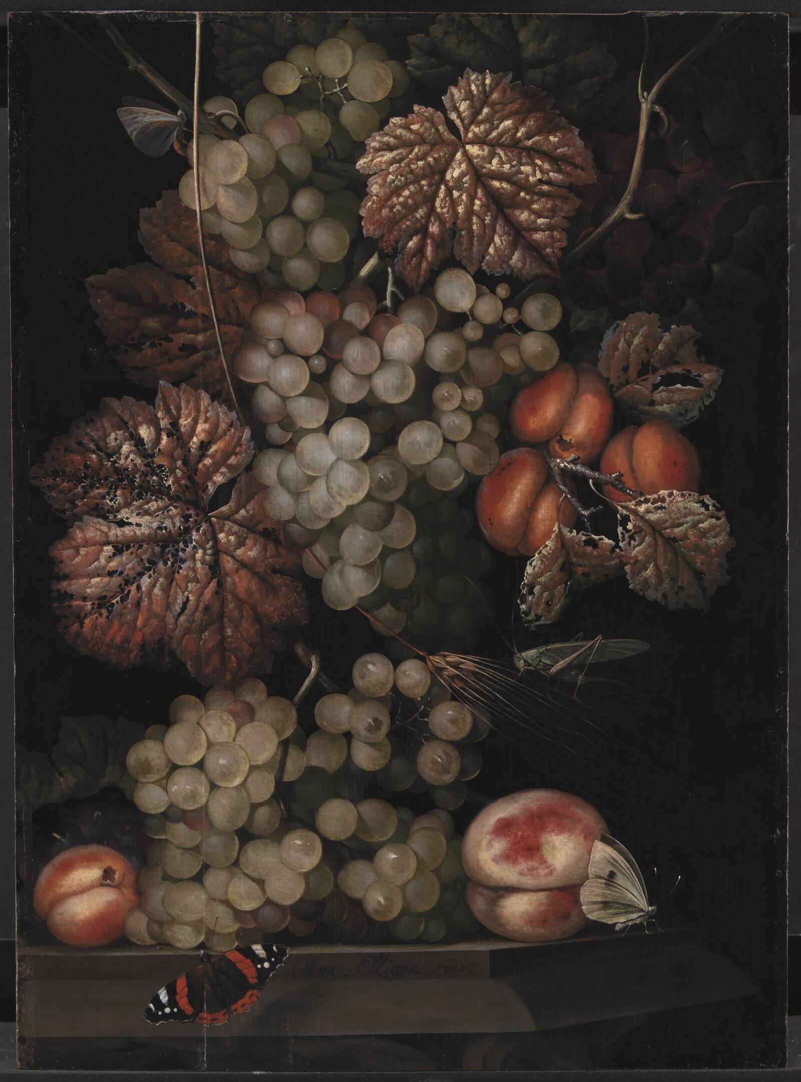 Stilleben, Ottomar Elliger, 1667