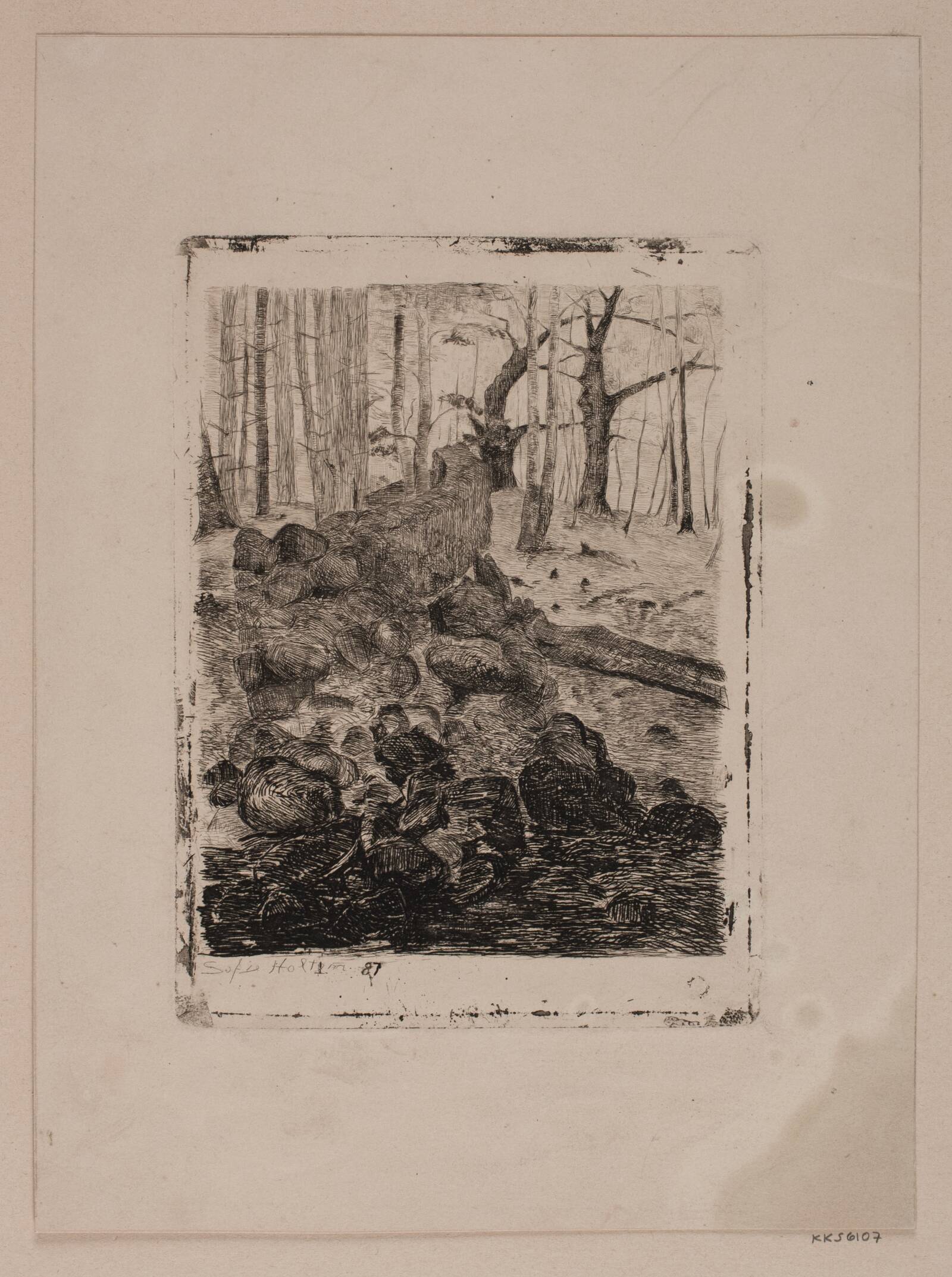 Store sten i skoven, Sophie Holten, 1887