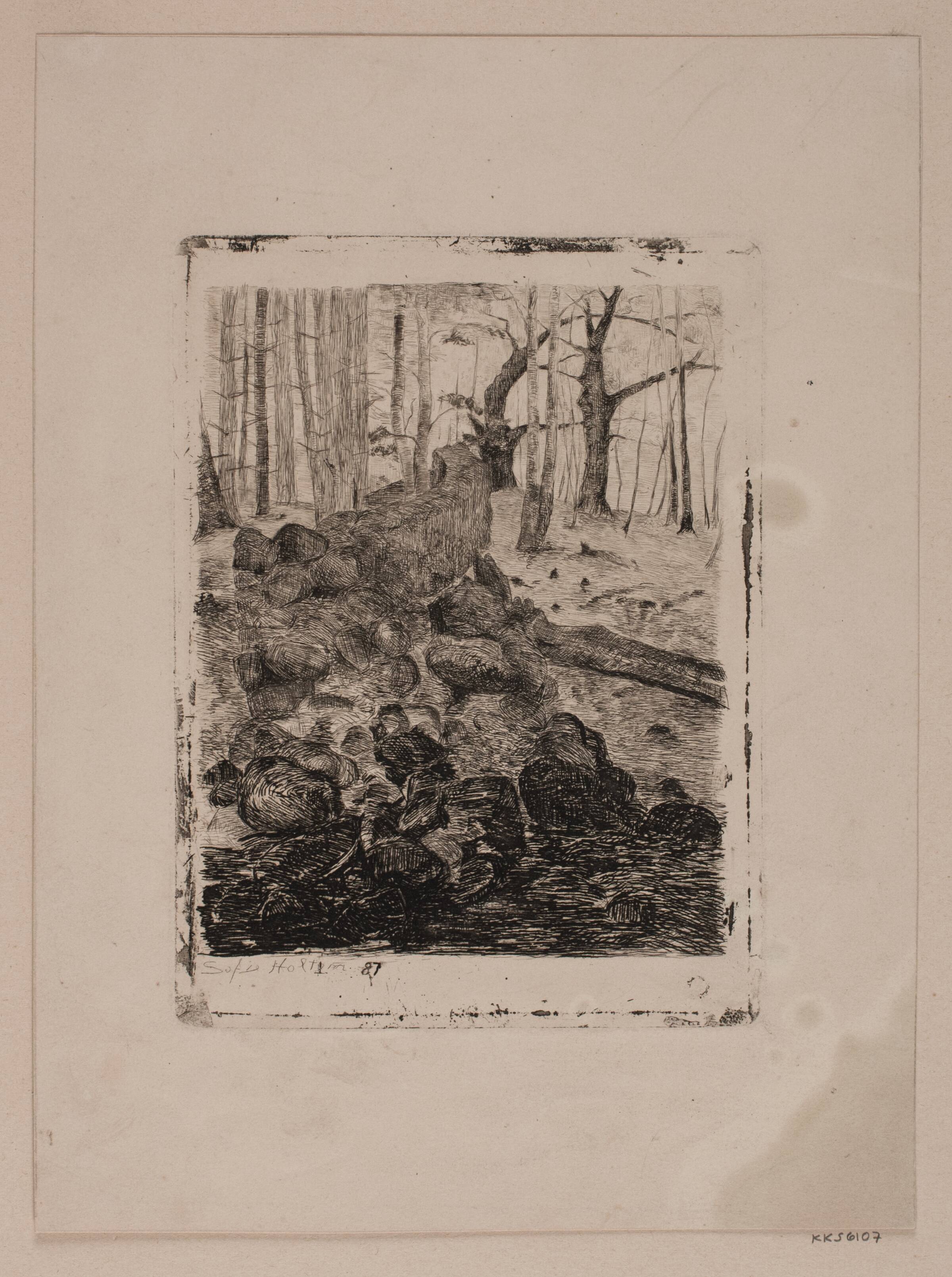 Store sten i skoven, Sophie Holten, 1887